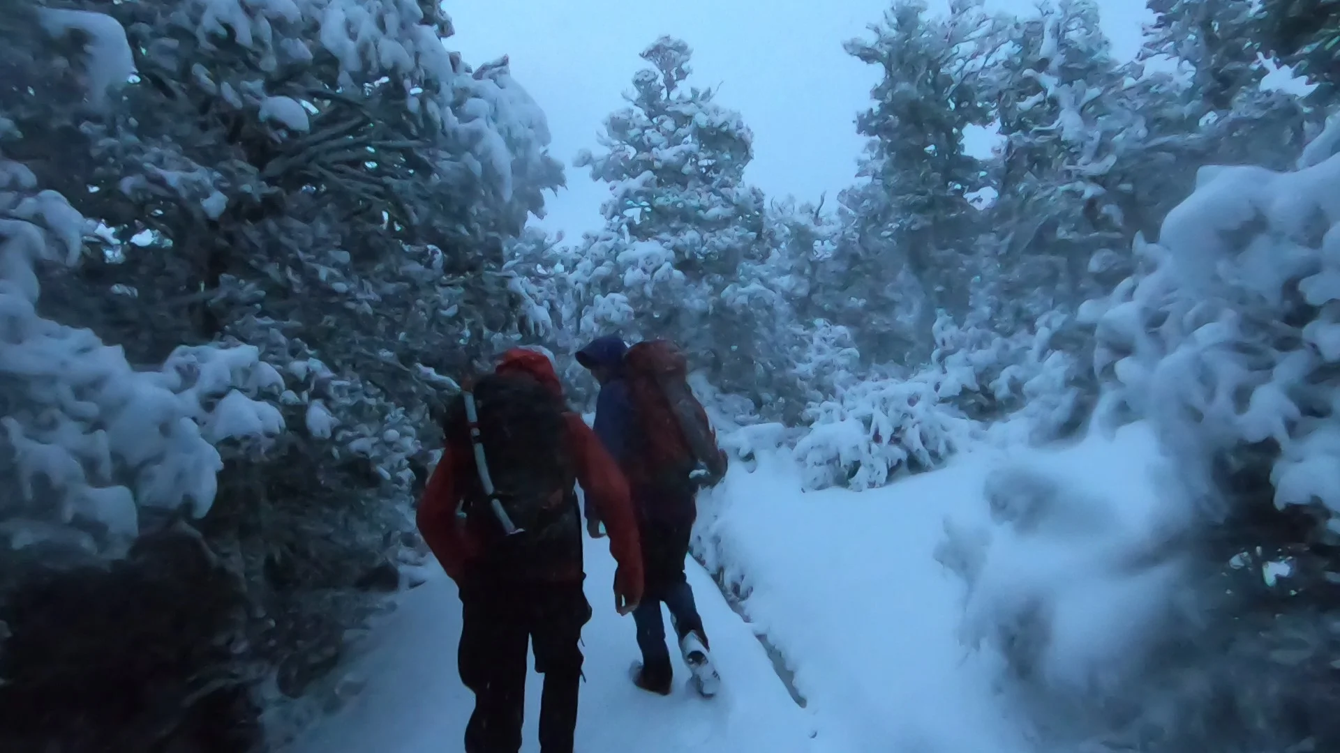 Setting out into the Blizzard with Diarmuid and Ashley.