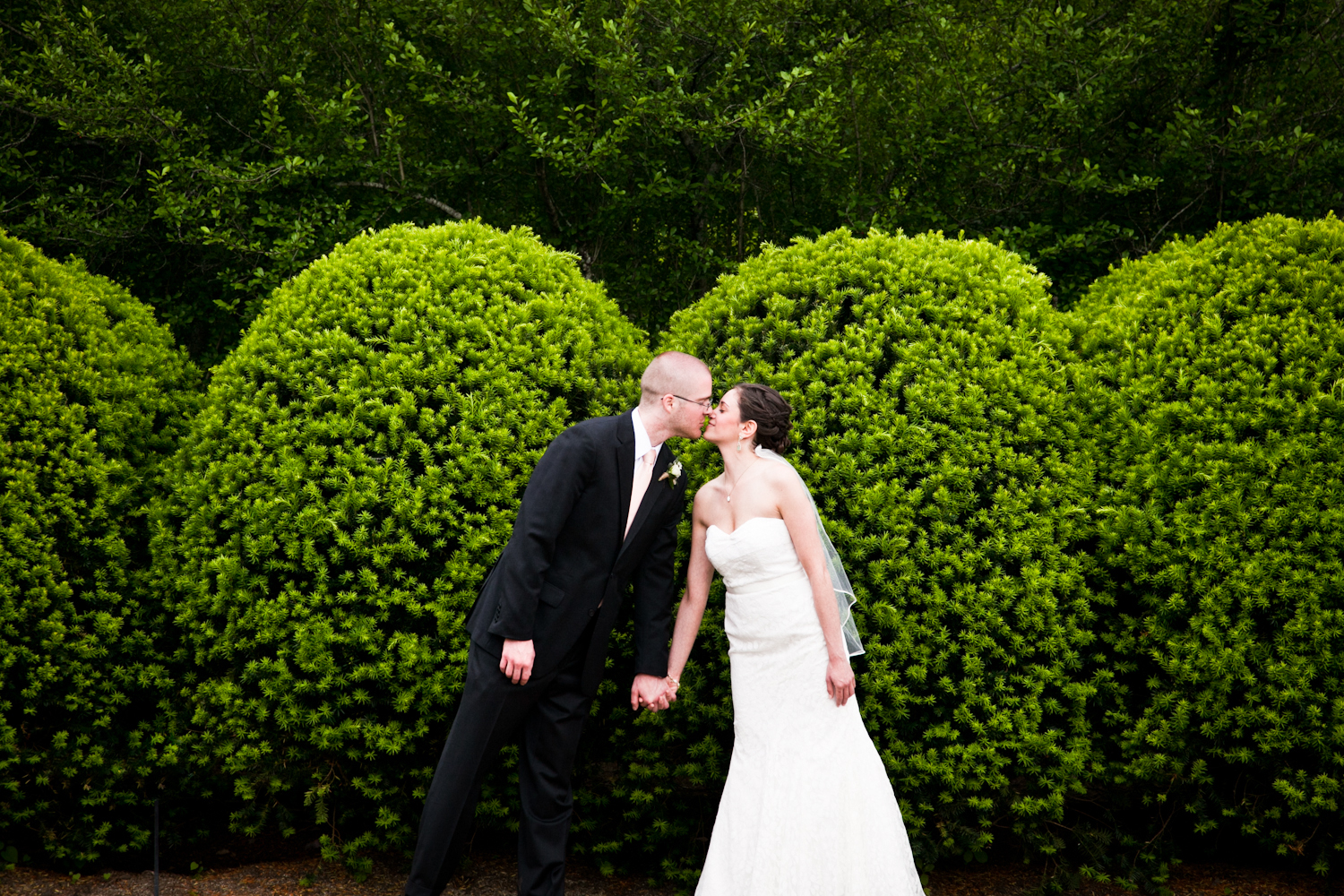 hitched_web-18.jpg