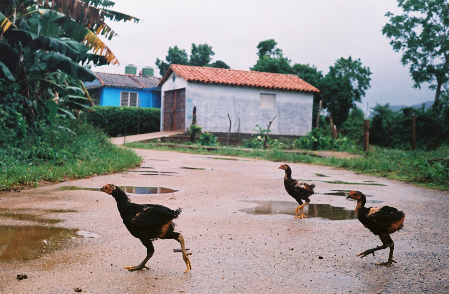 2016_cuba_film-57.jpg