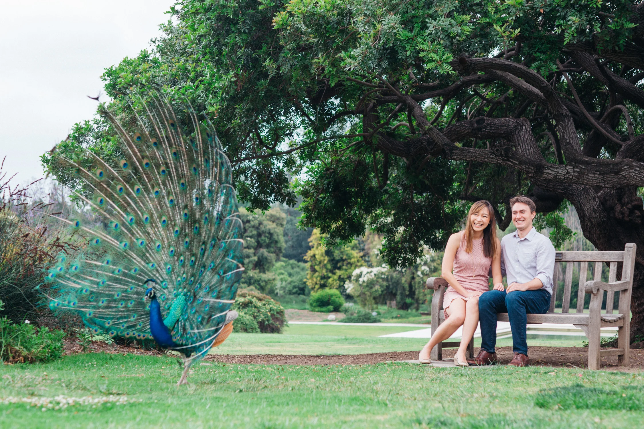 Arboretum-2018-Web-1.jpg