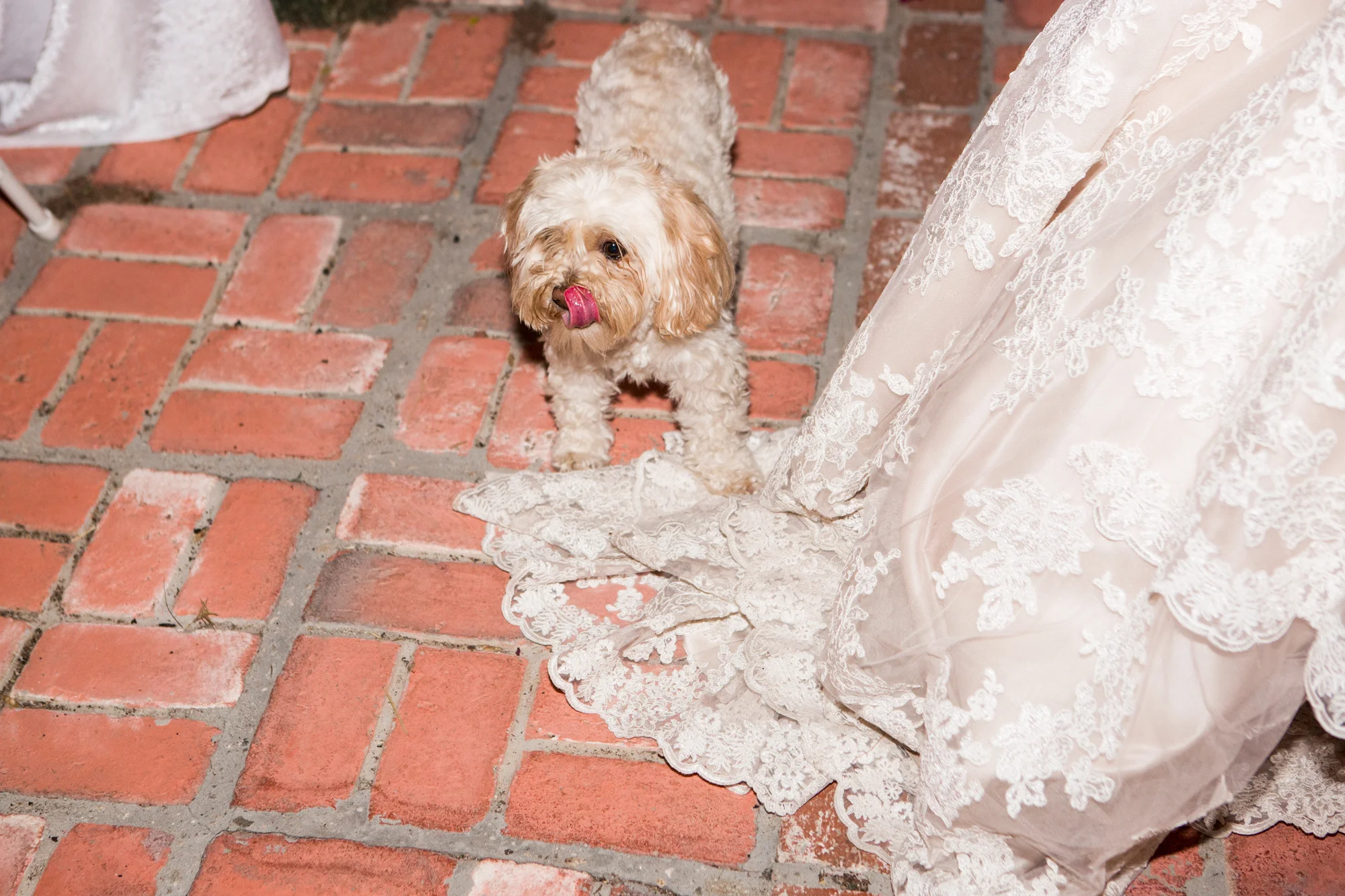 2018-Amanda-Wedding-LA-63.jpg