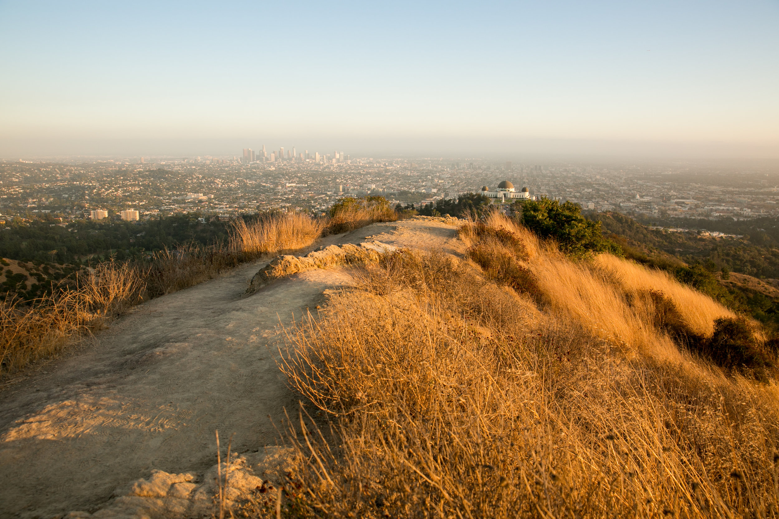 27-2019-proposal-griffith-park-observatory.jpg