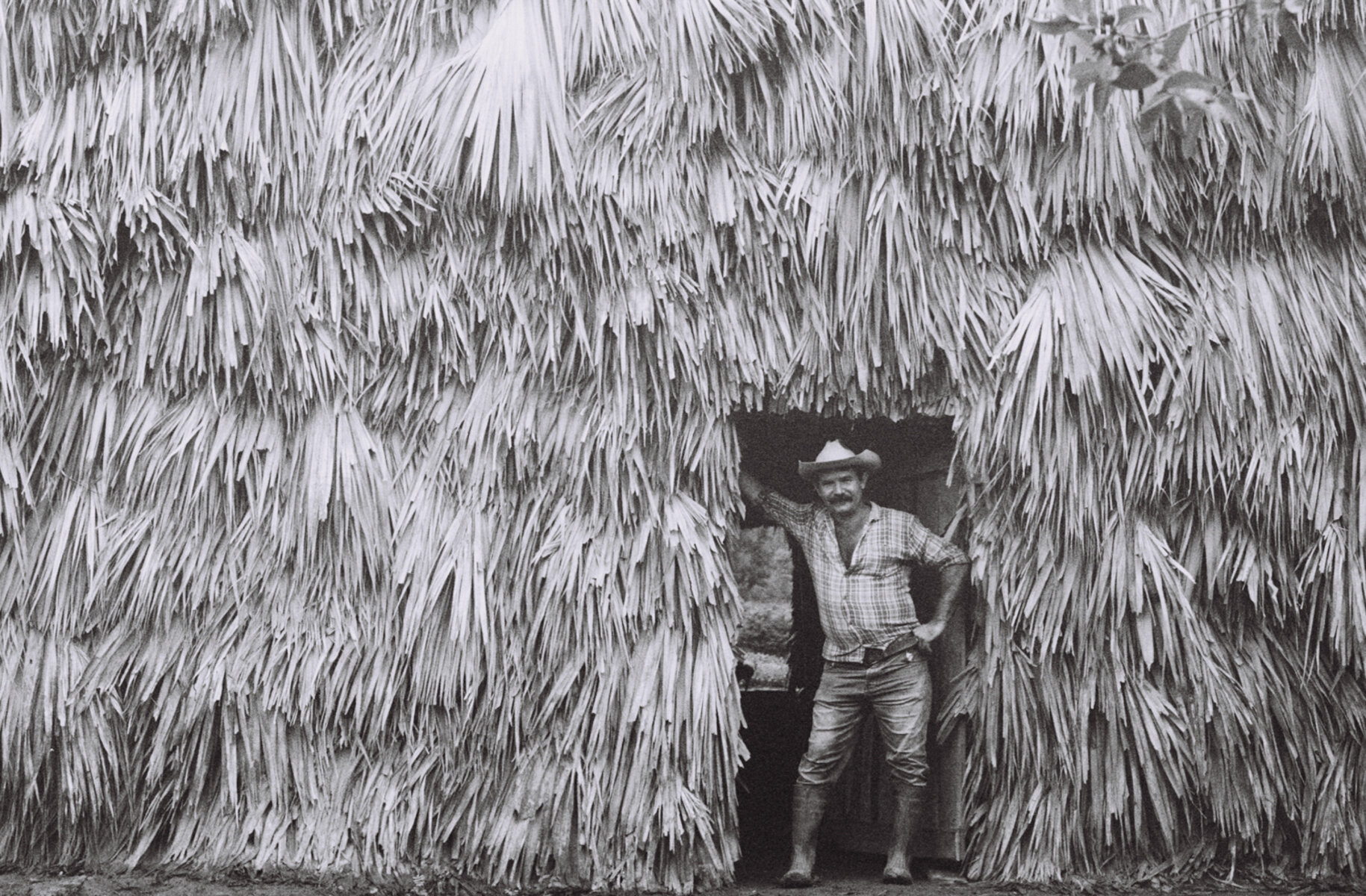  Tobacco farmer | Vinales, Cuba 