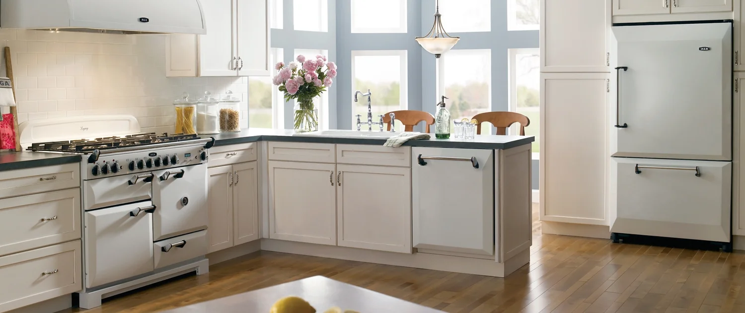 Aga-header.jpg