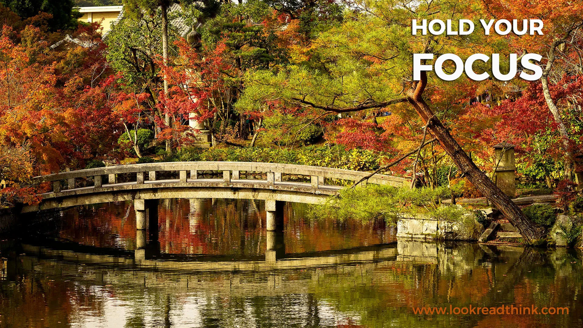 Hold Your Focus by Andrew Gurnett