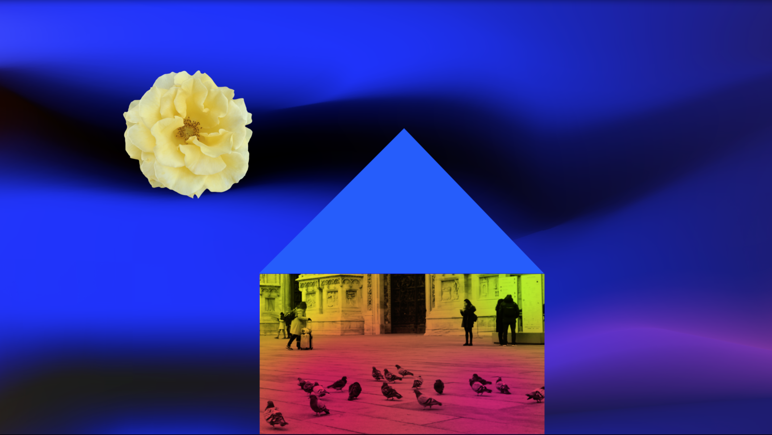 Home in transit_still_2019.png