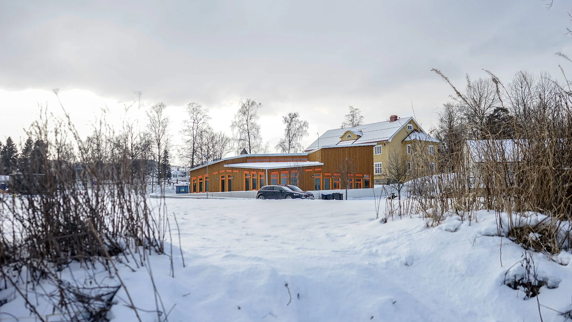 Steinerskolen web 01.jpg
