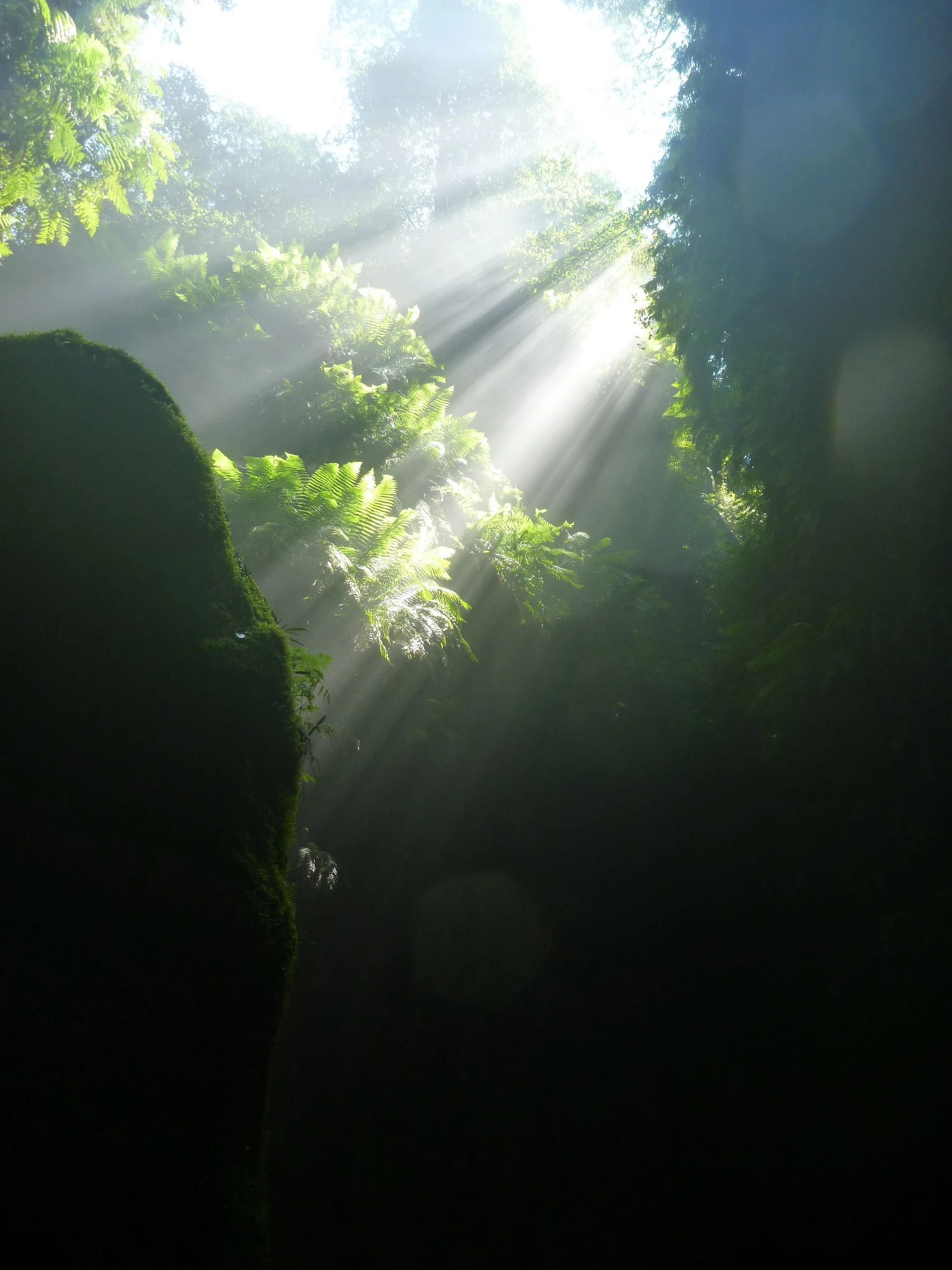  Sun rays coming&nbsp;into the canyon 