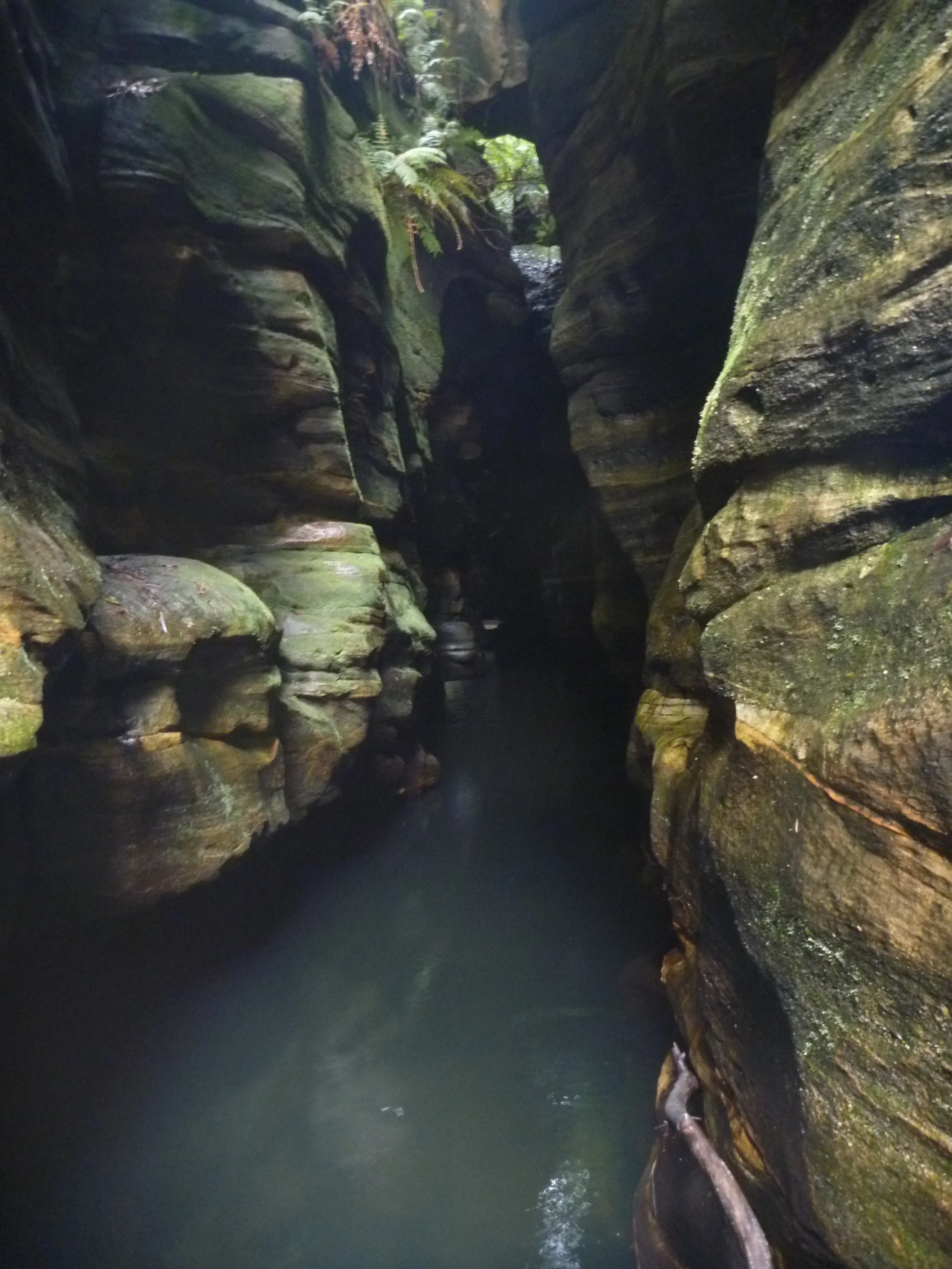  Tunnel Swim in Claustral Canyon 
