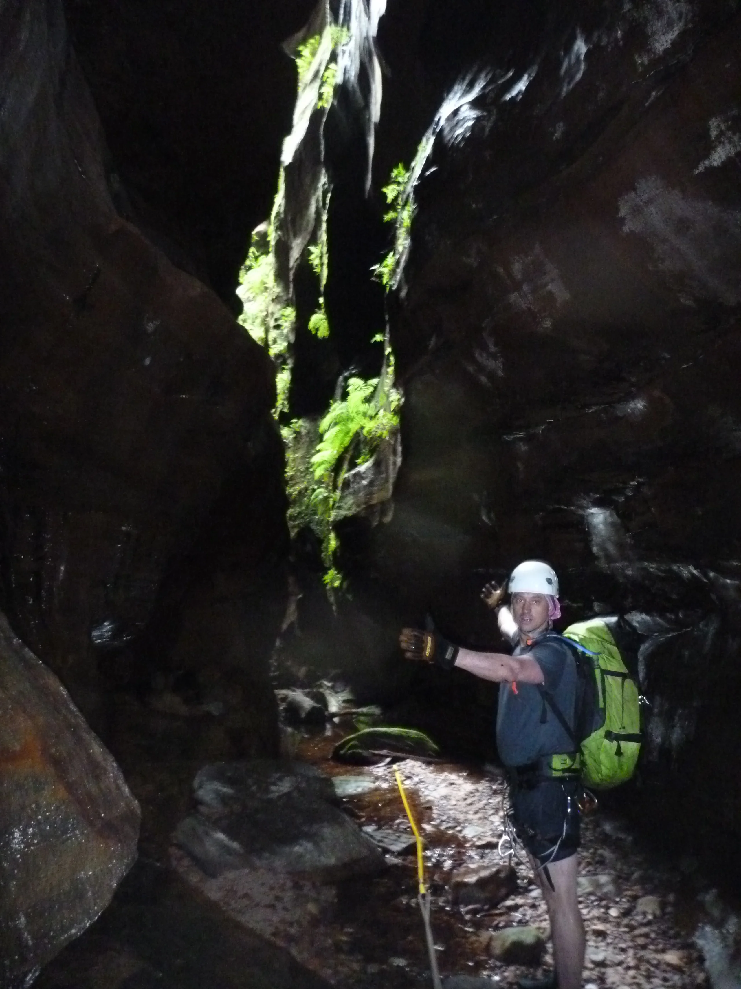 Gunter in the canyon proper 