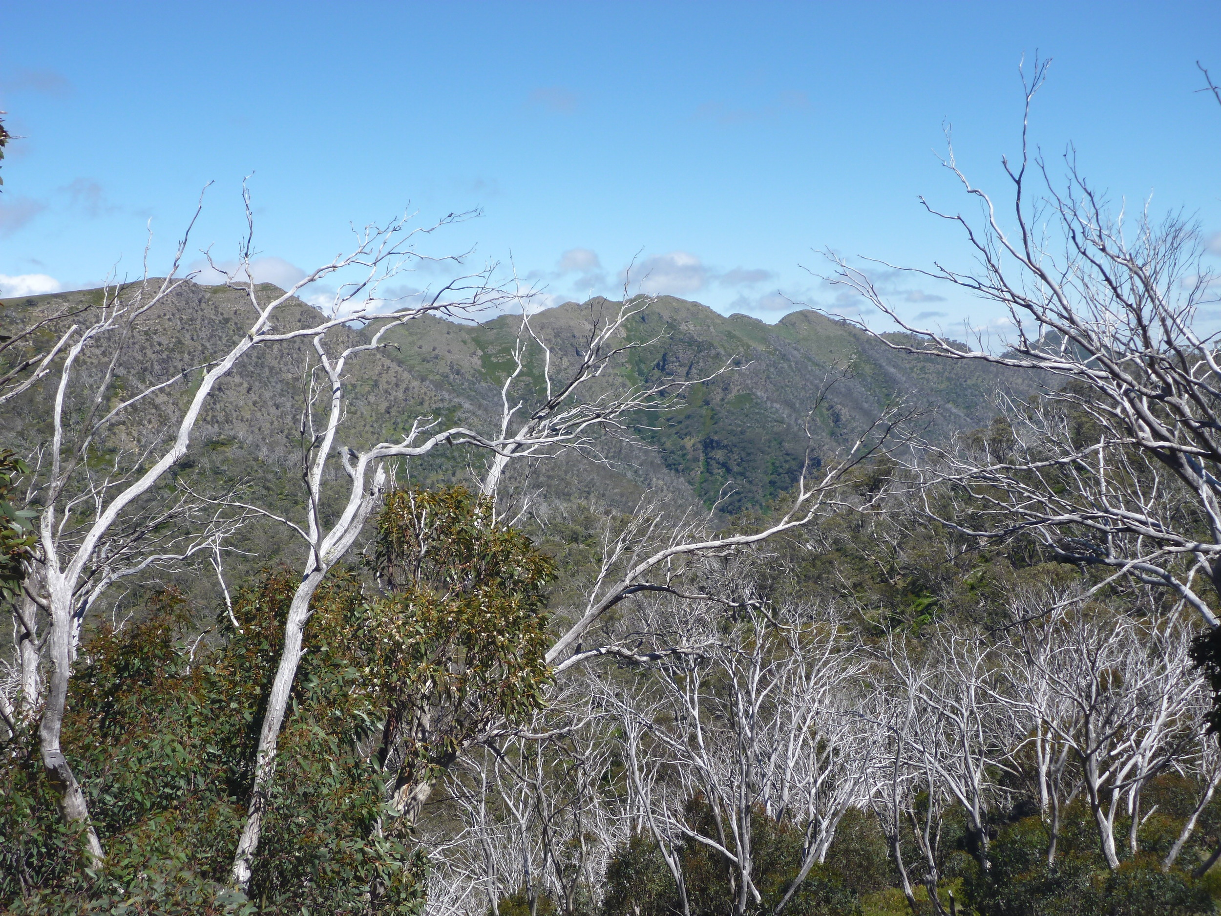  Looking towards the Cross Cut Saw 