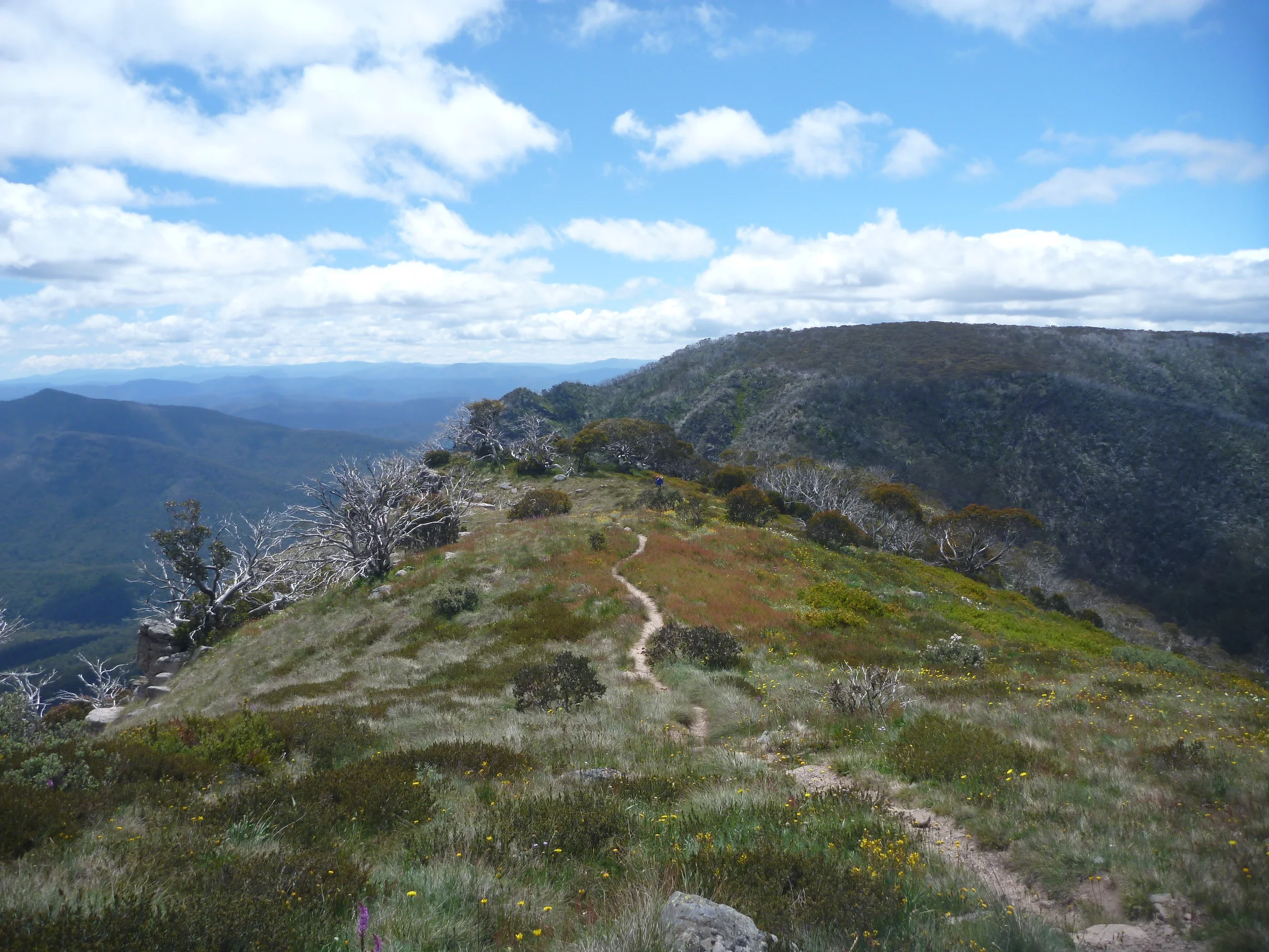  Approaching the Cross Cut Saw 
