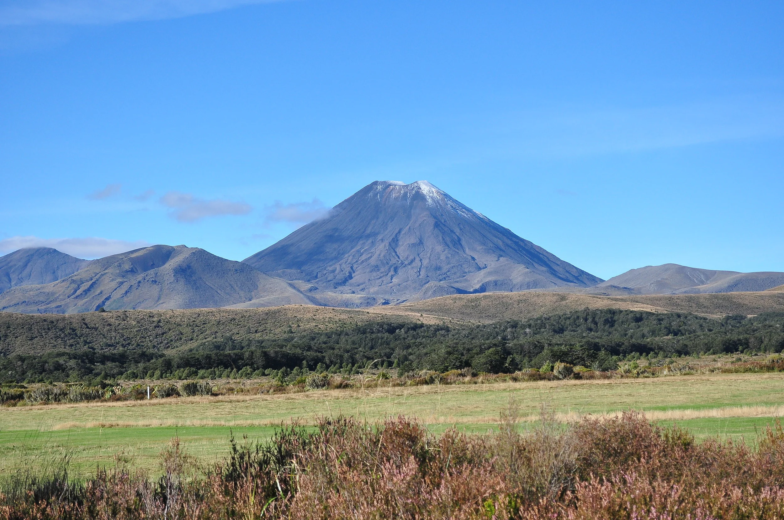 DSC_0356.JPG