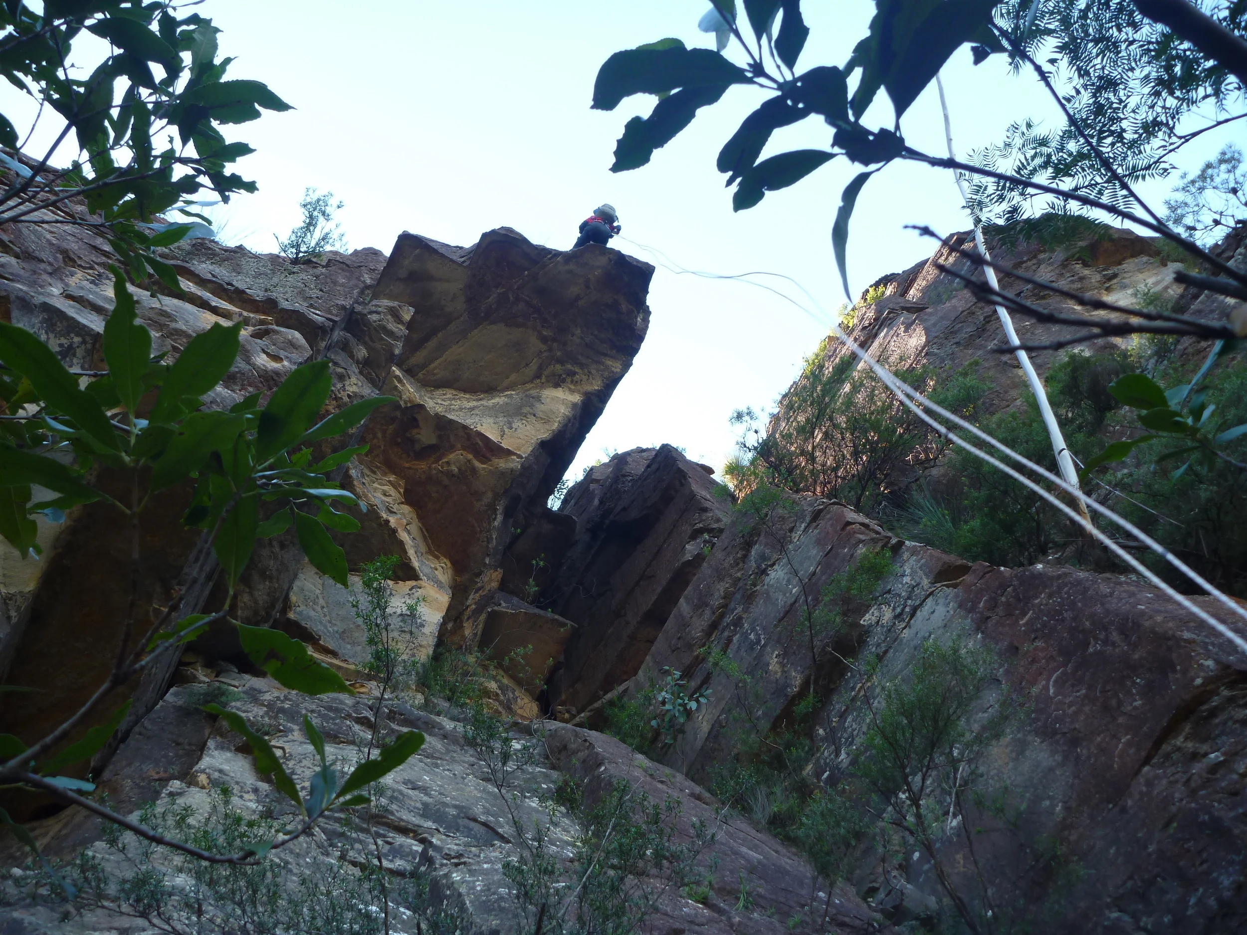 P1030592.JPG