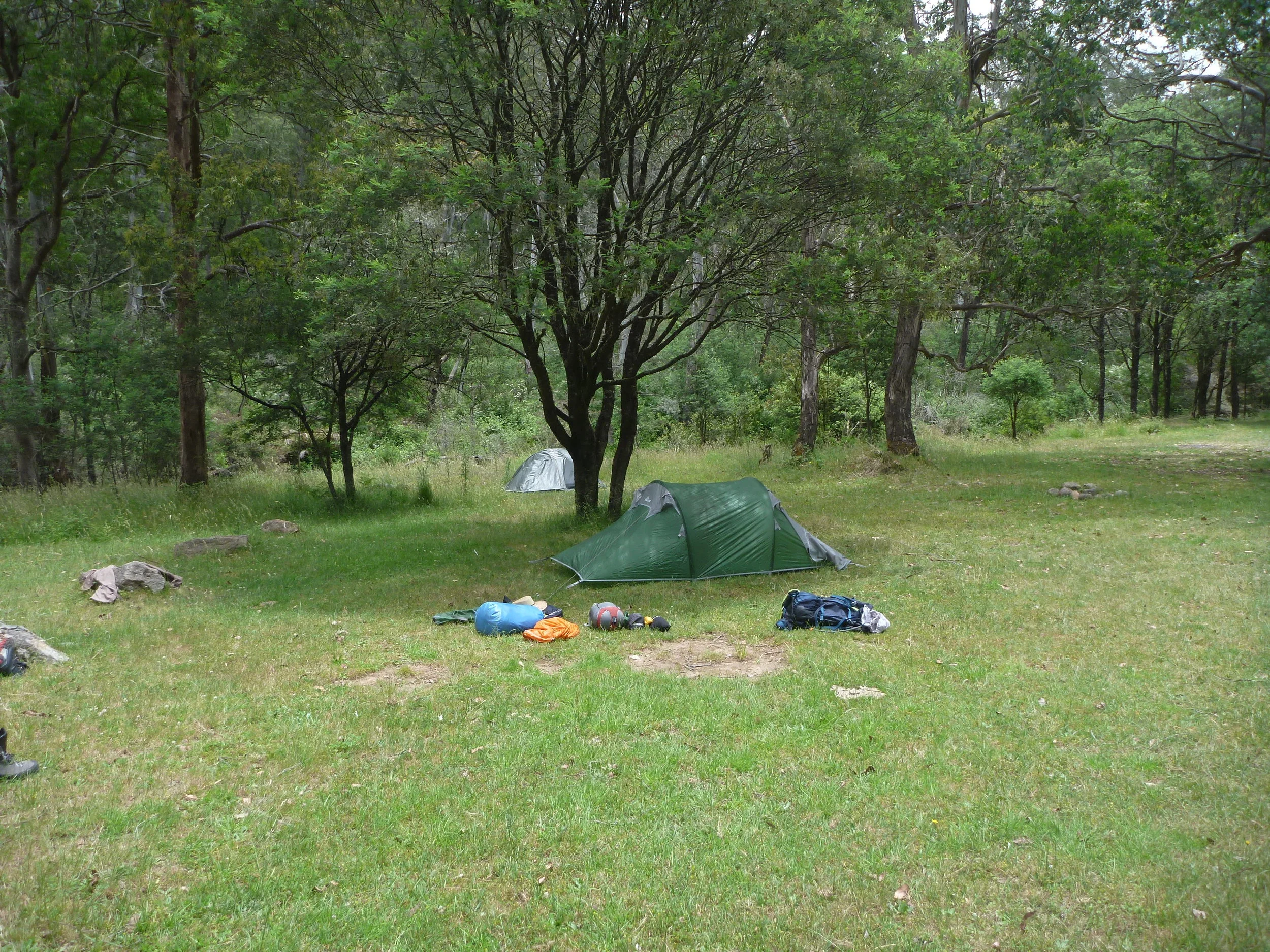 P1040153.JPG