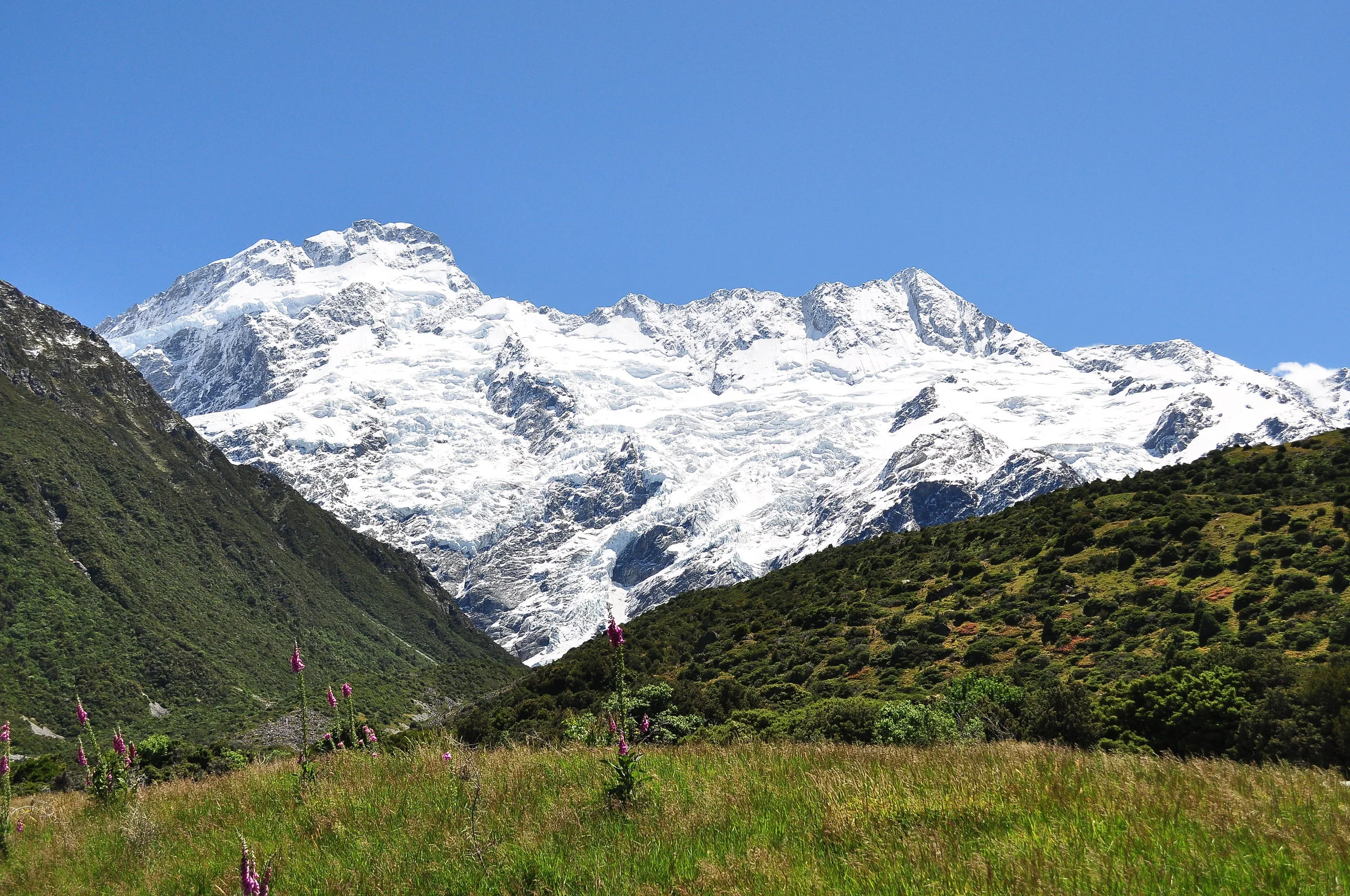 DSC_0140.JPG