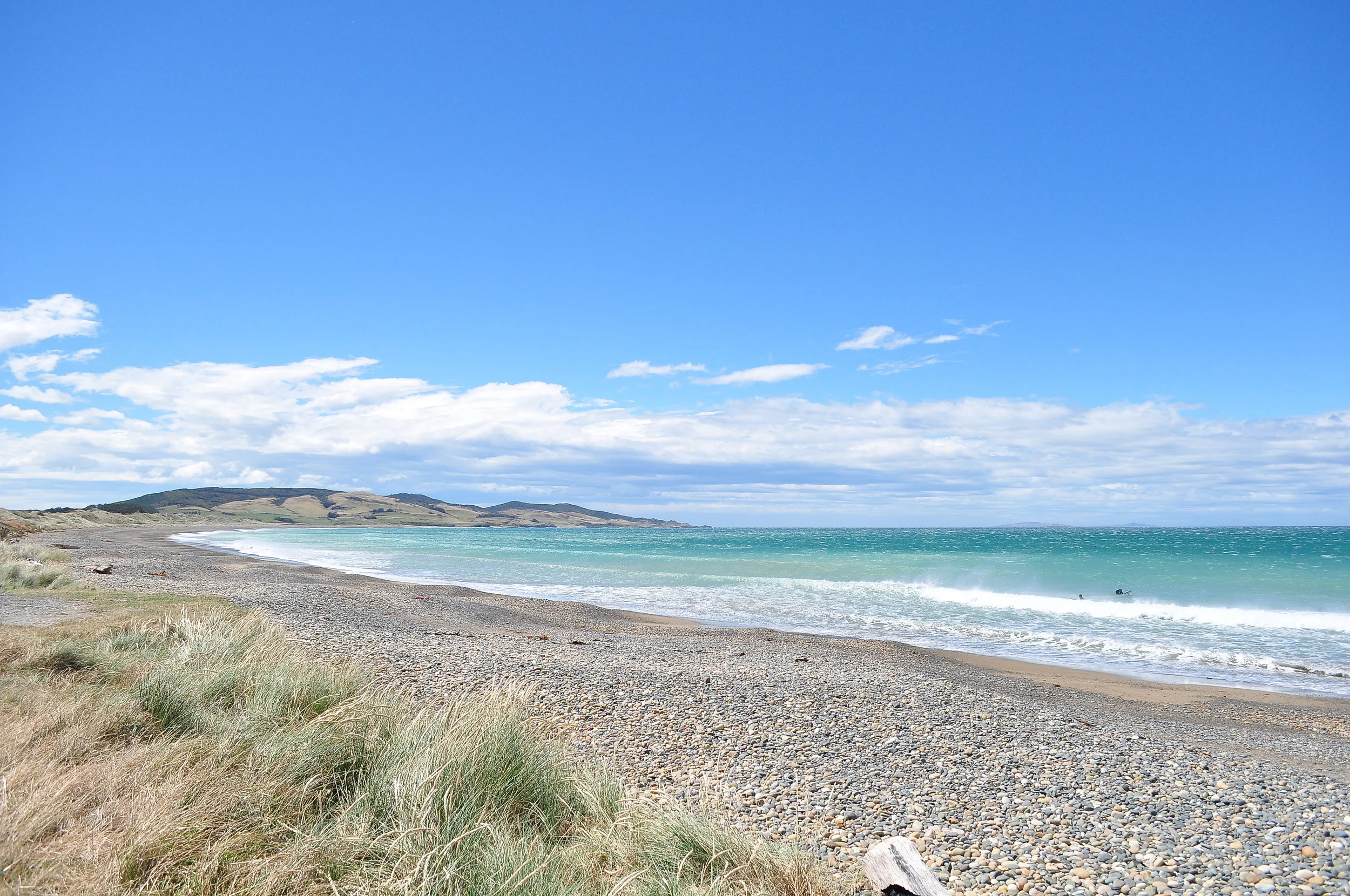 DSC_0364.JPG