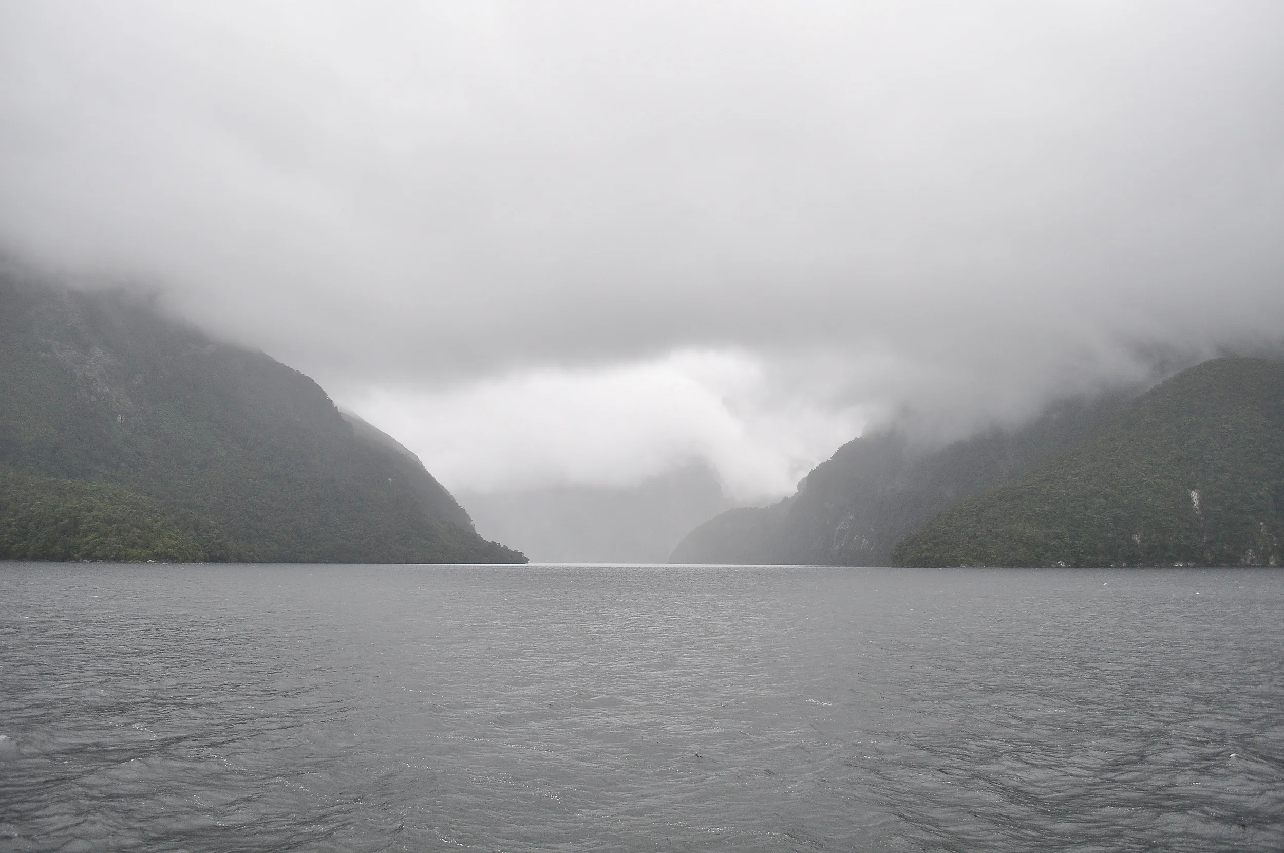 DSC_0437.JPG
