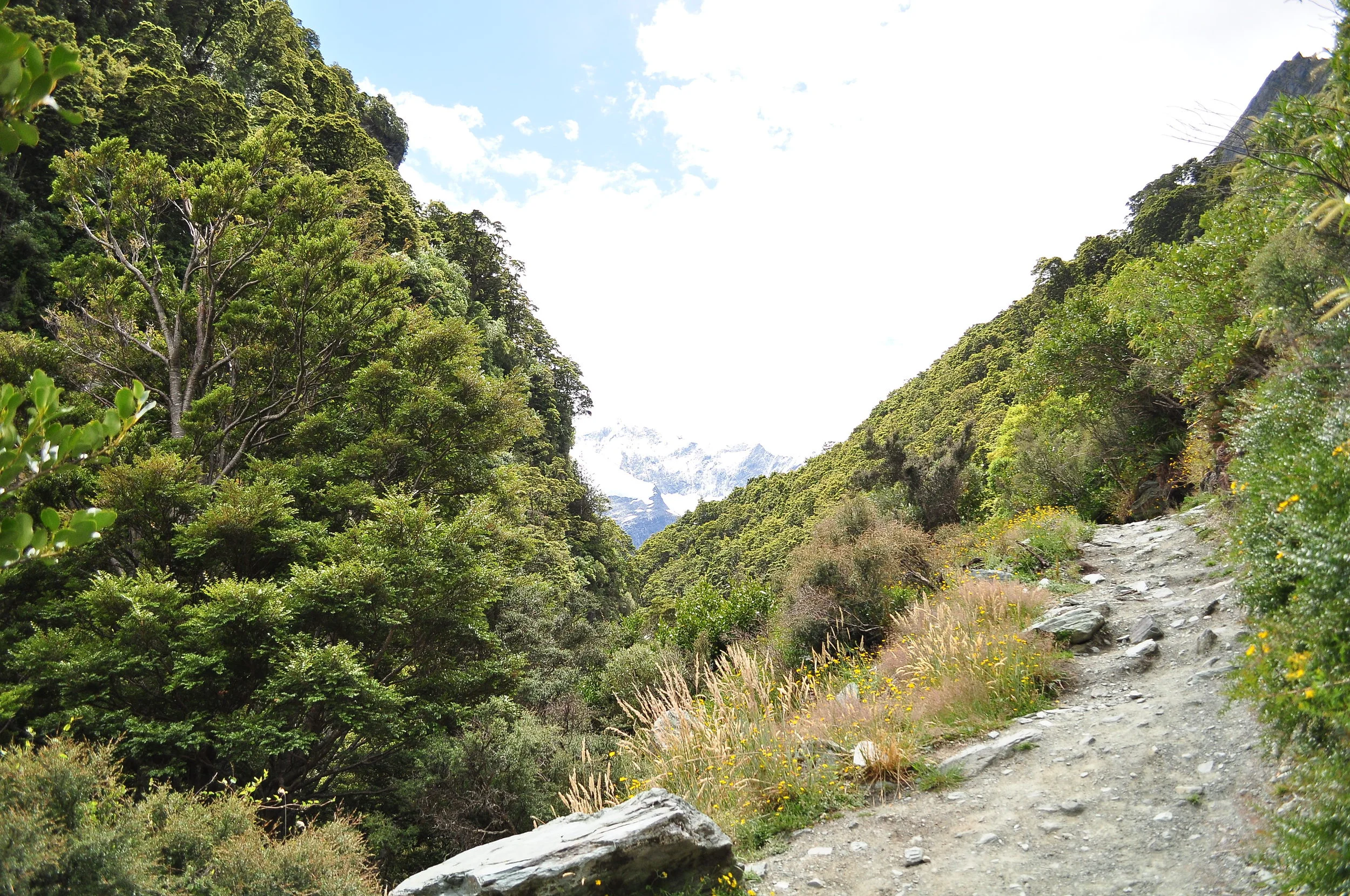 DSC_0600.JPG