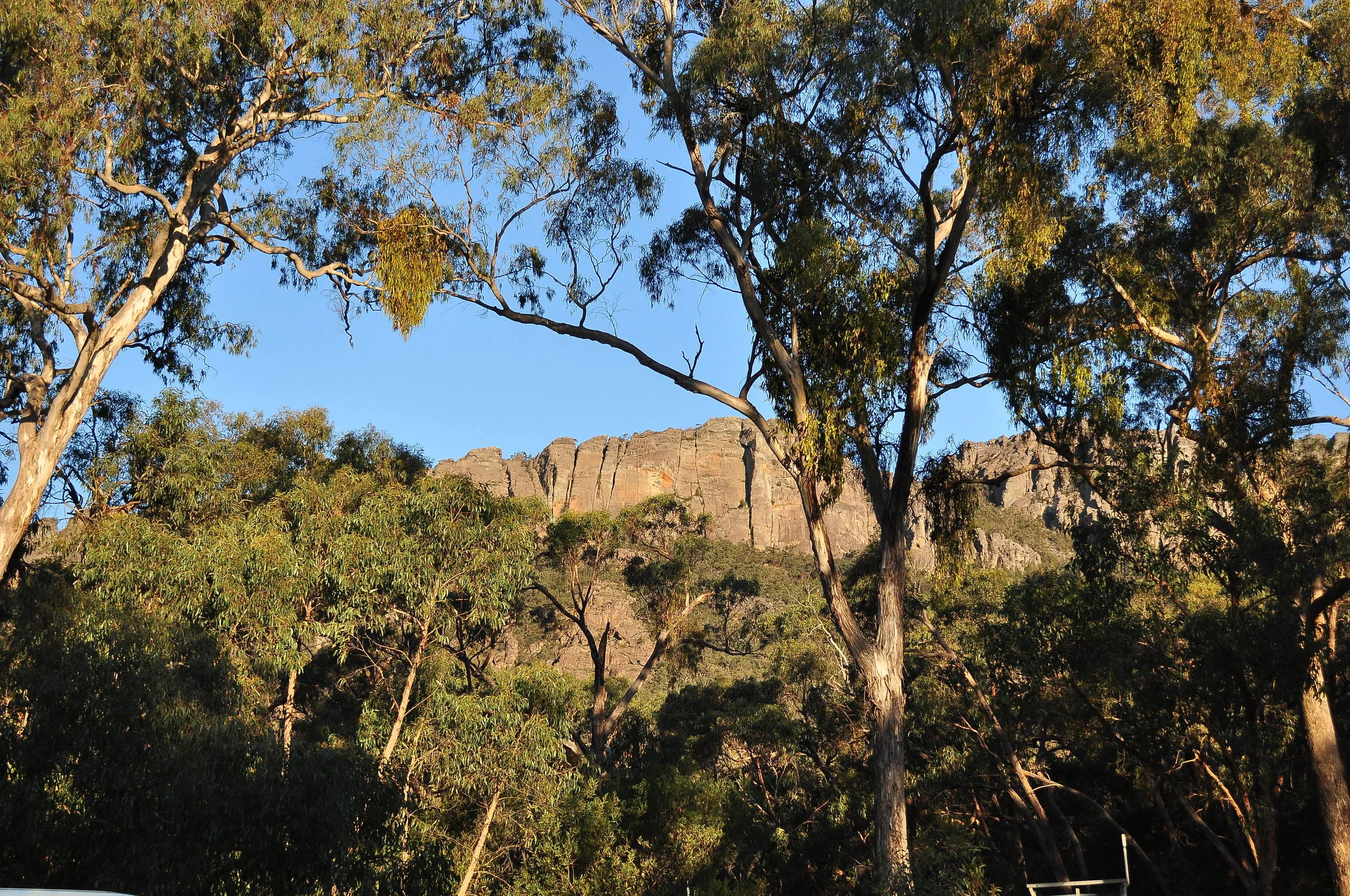 DSC_0144.JPG