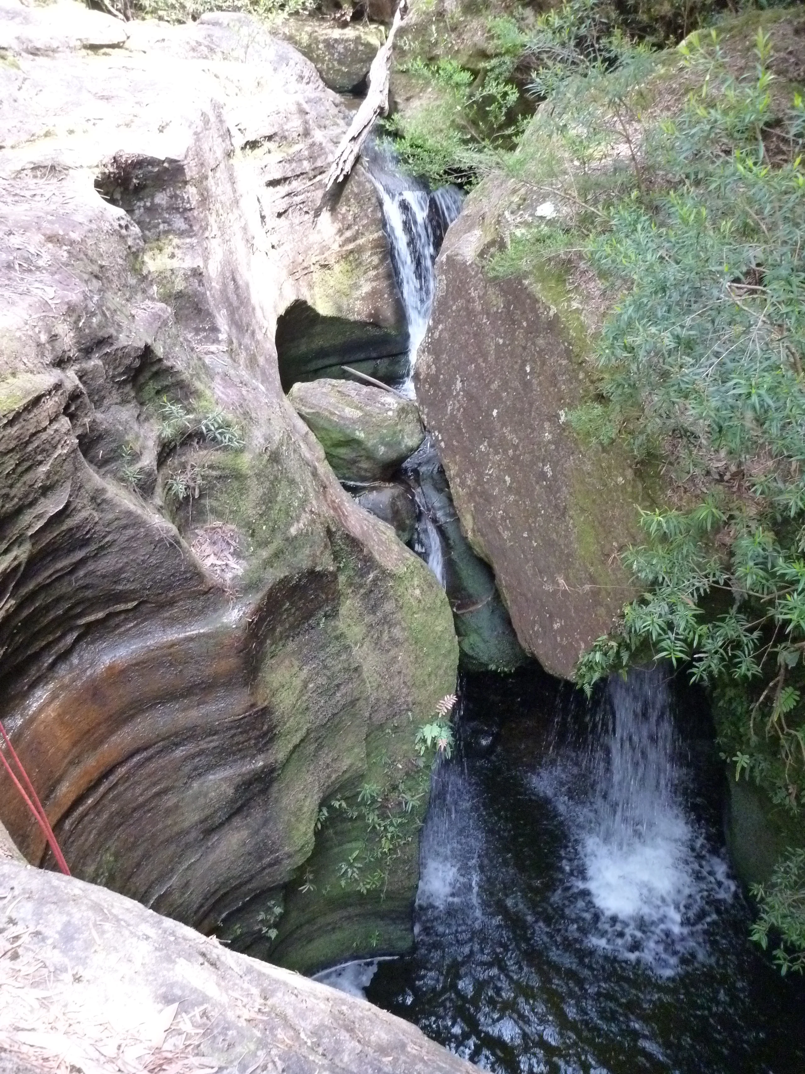 P1010723.JPG