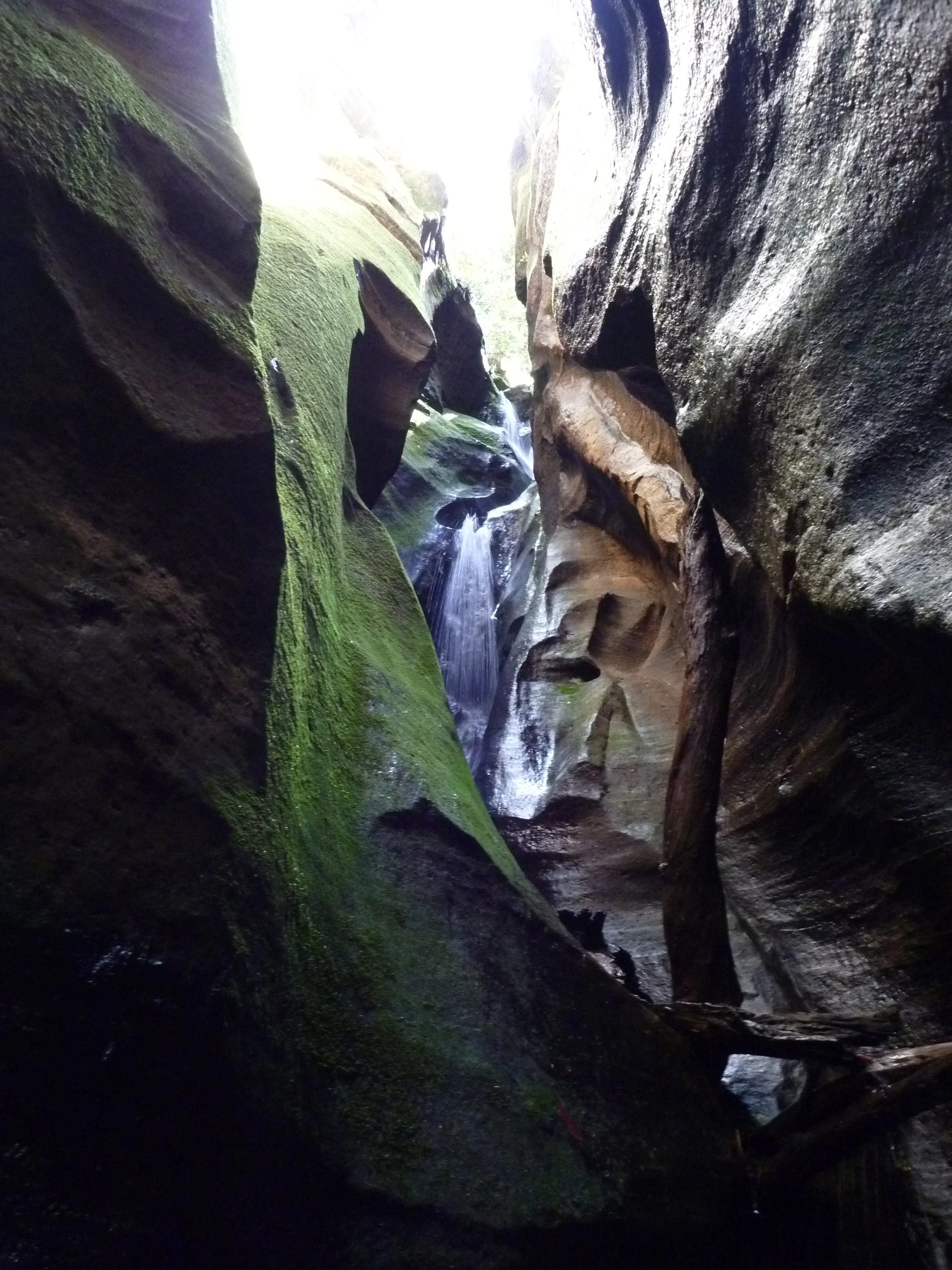P1000346.JPG