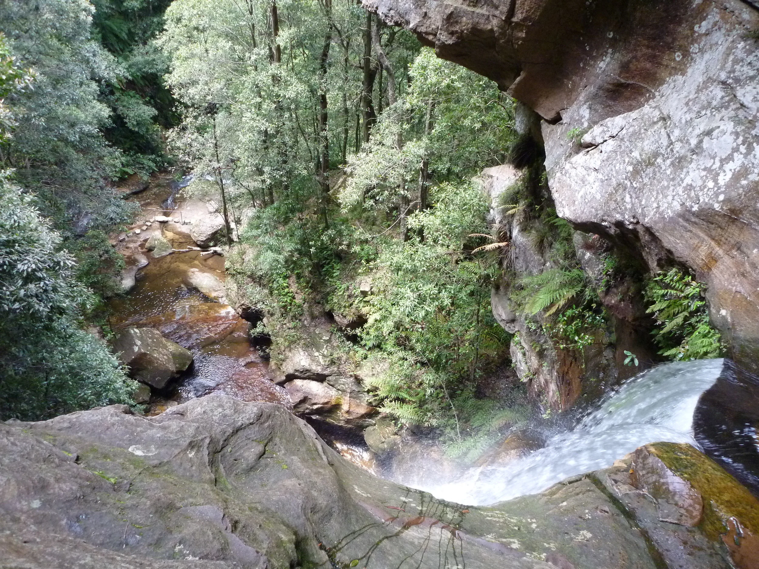 P1000315.JPG