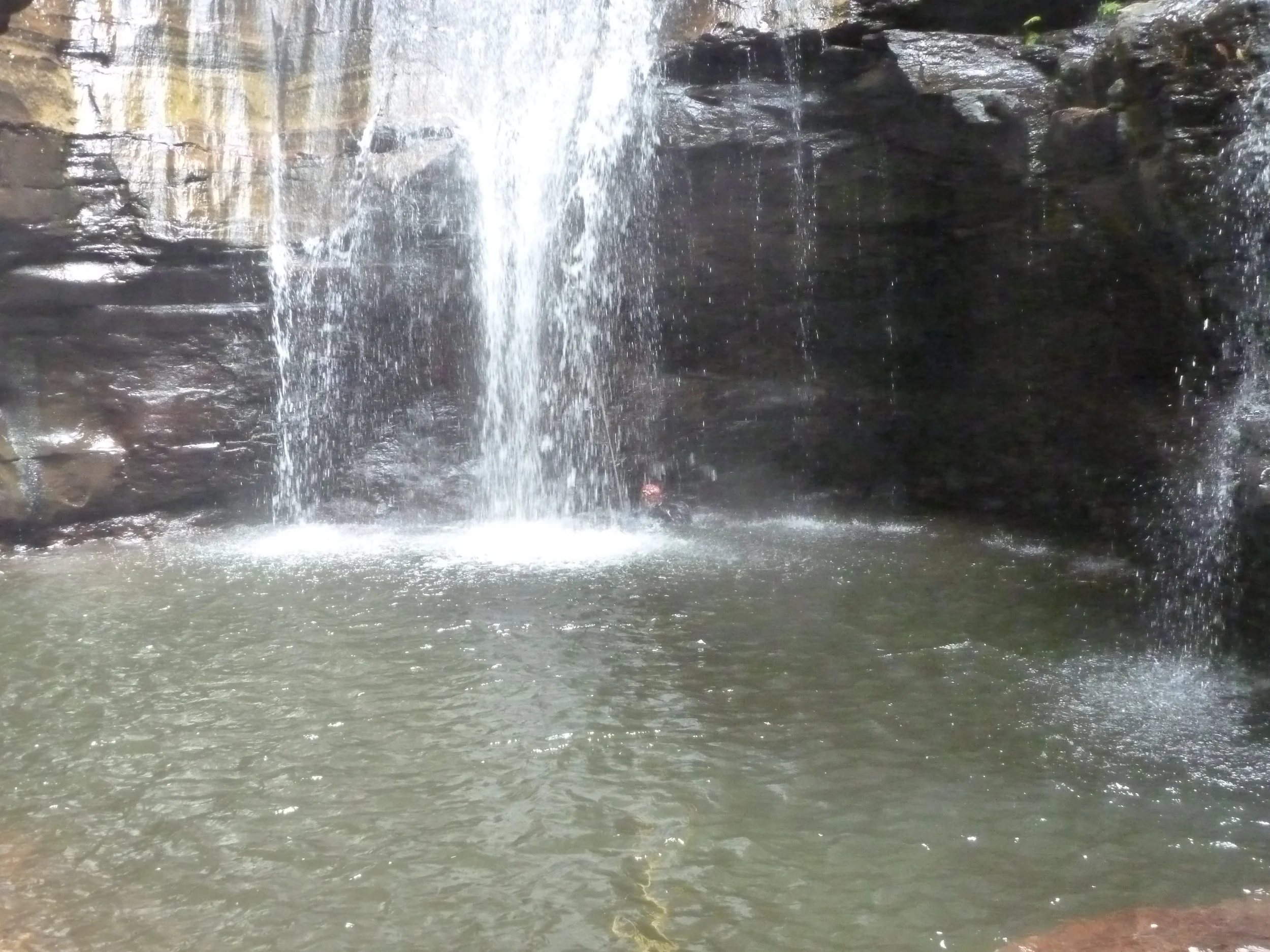 P1000319.JPG