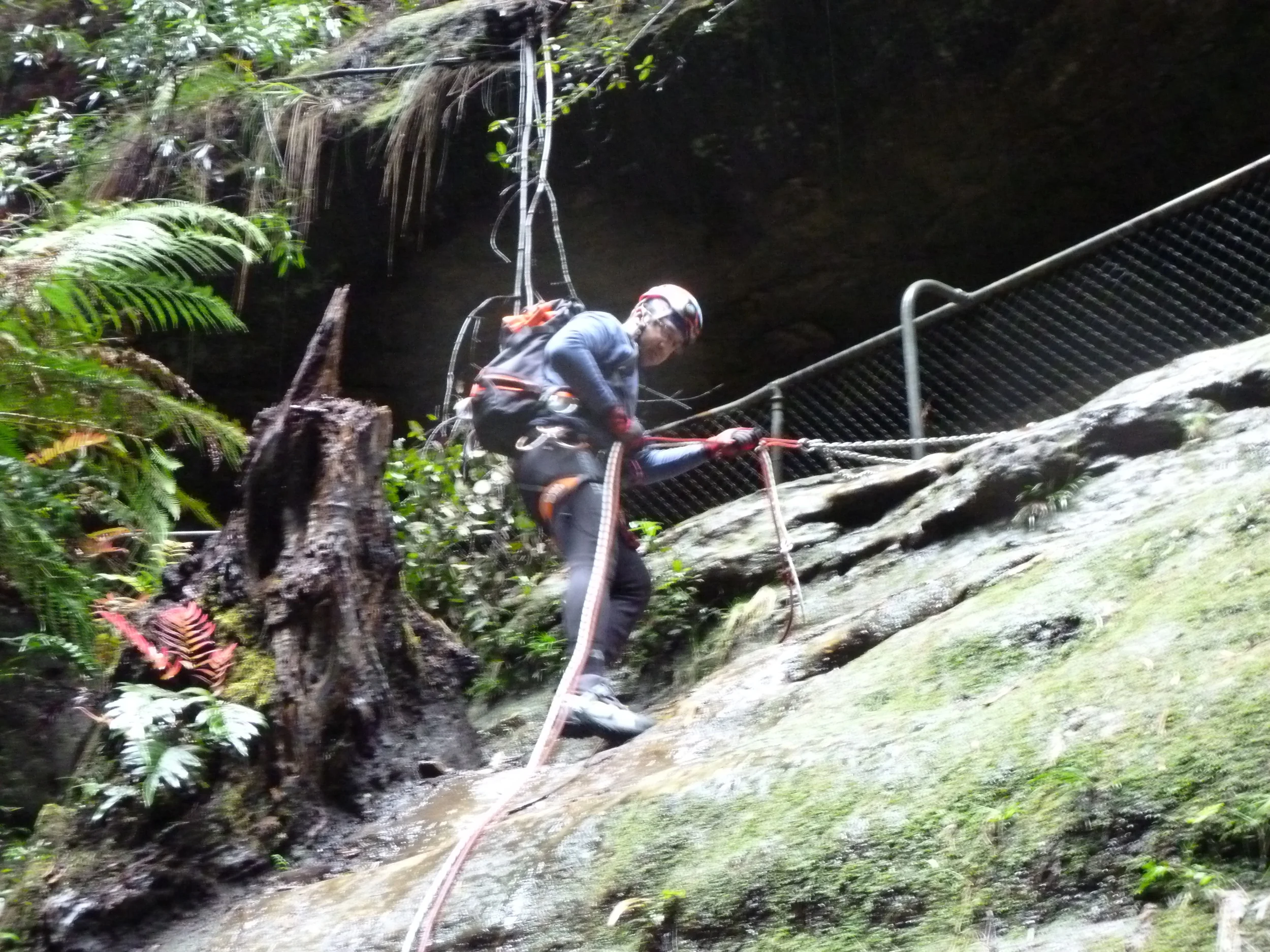 P1000251.JPG