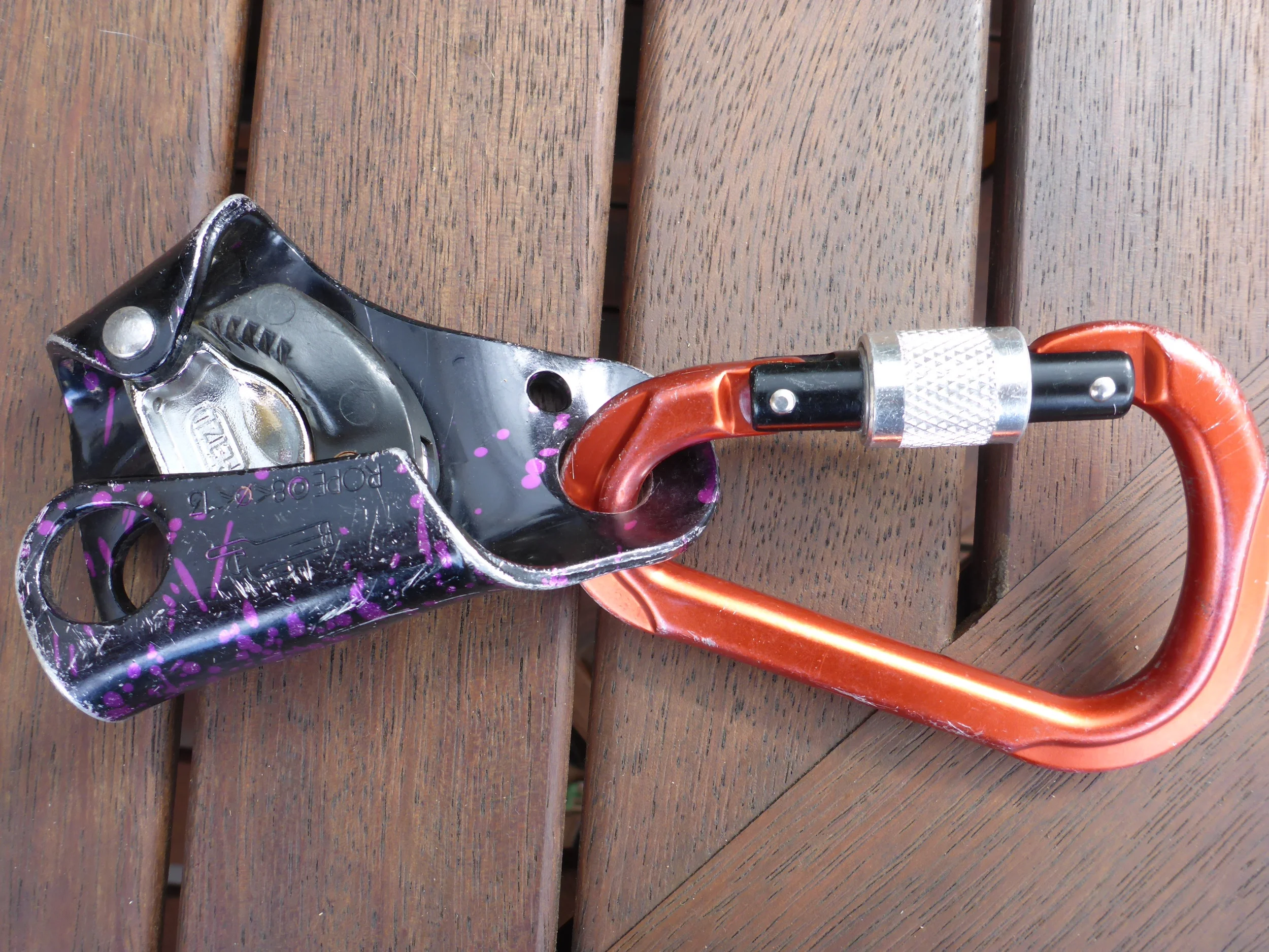 Petzl Ascender - Basic