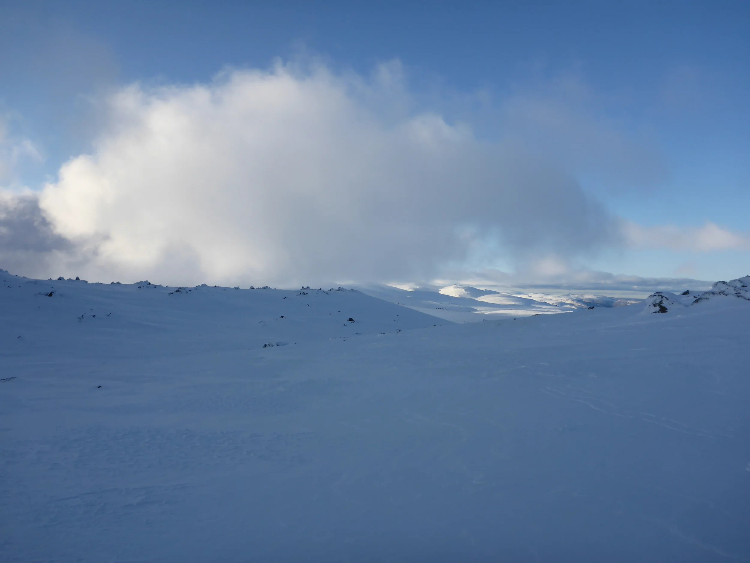P1010913.JPG