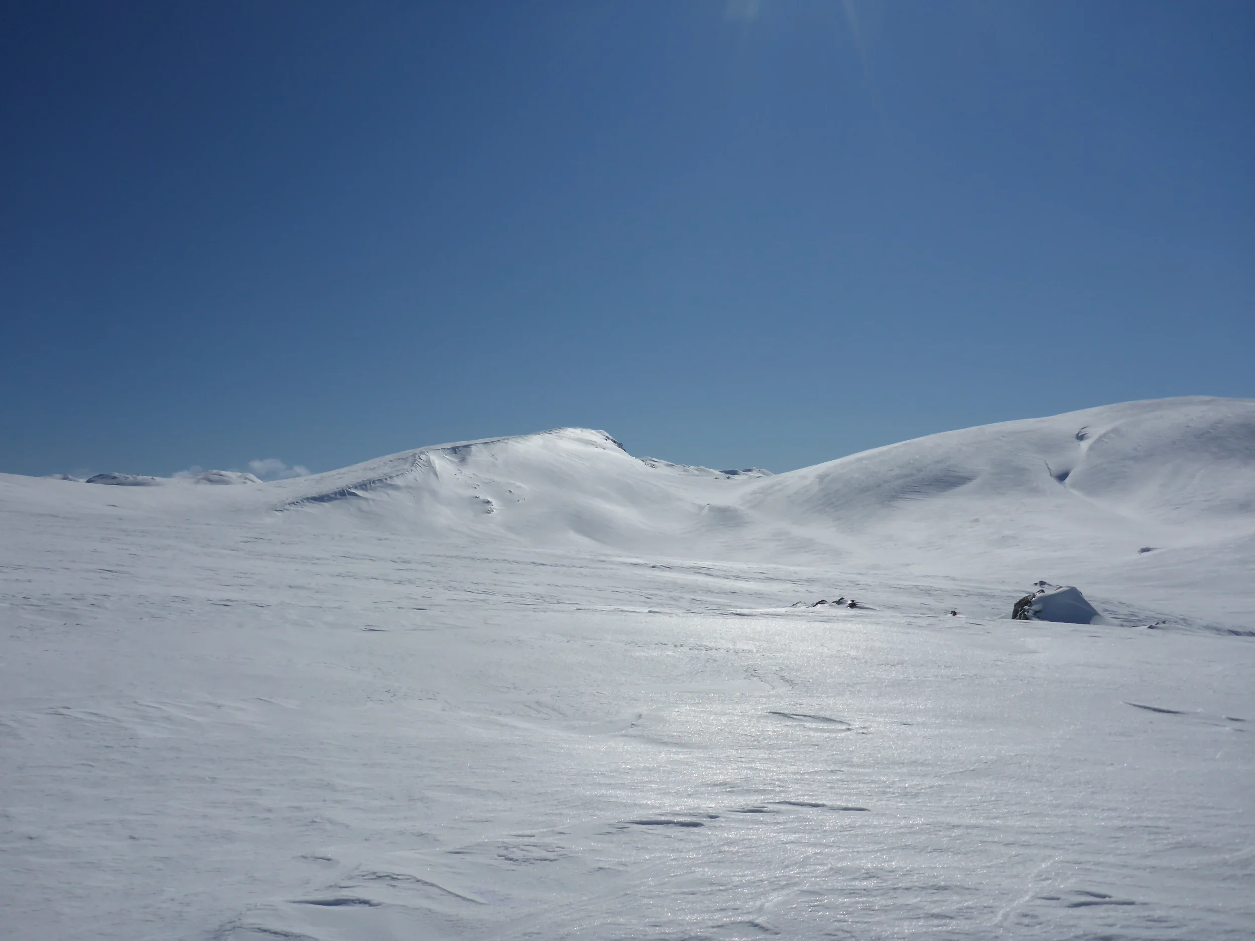 P1010989.JPG