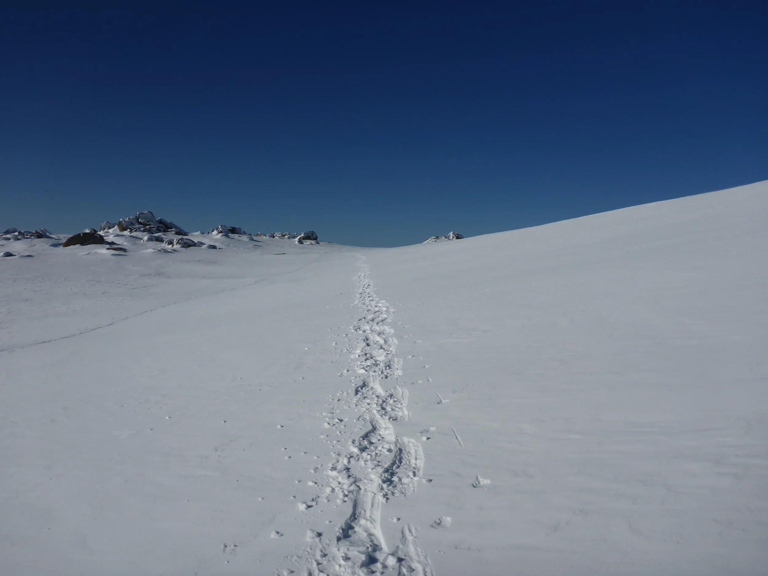P1020044.JPG