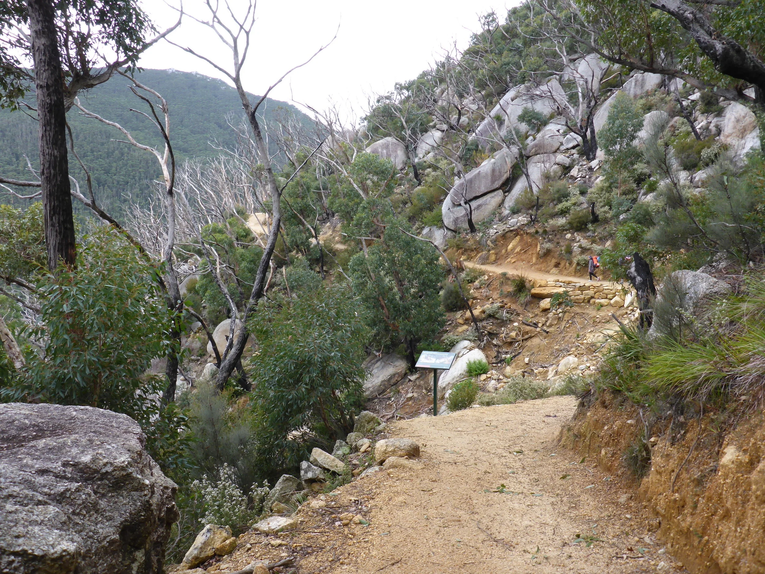P1010663.JPG