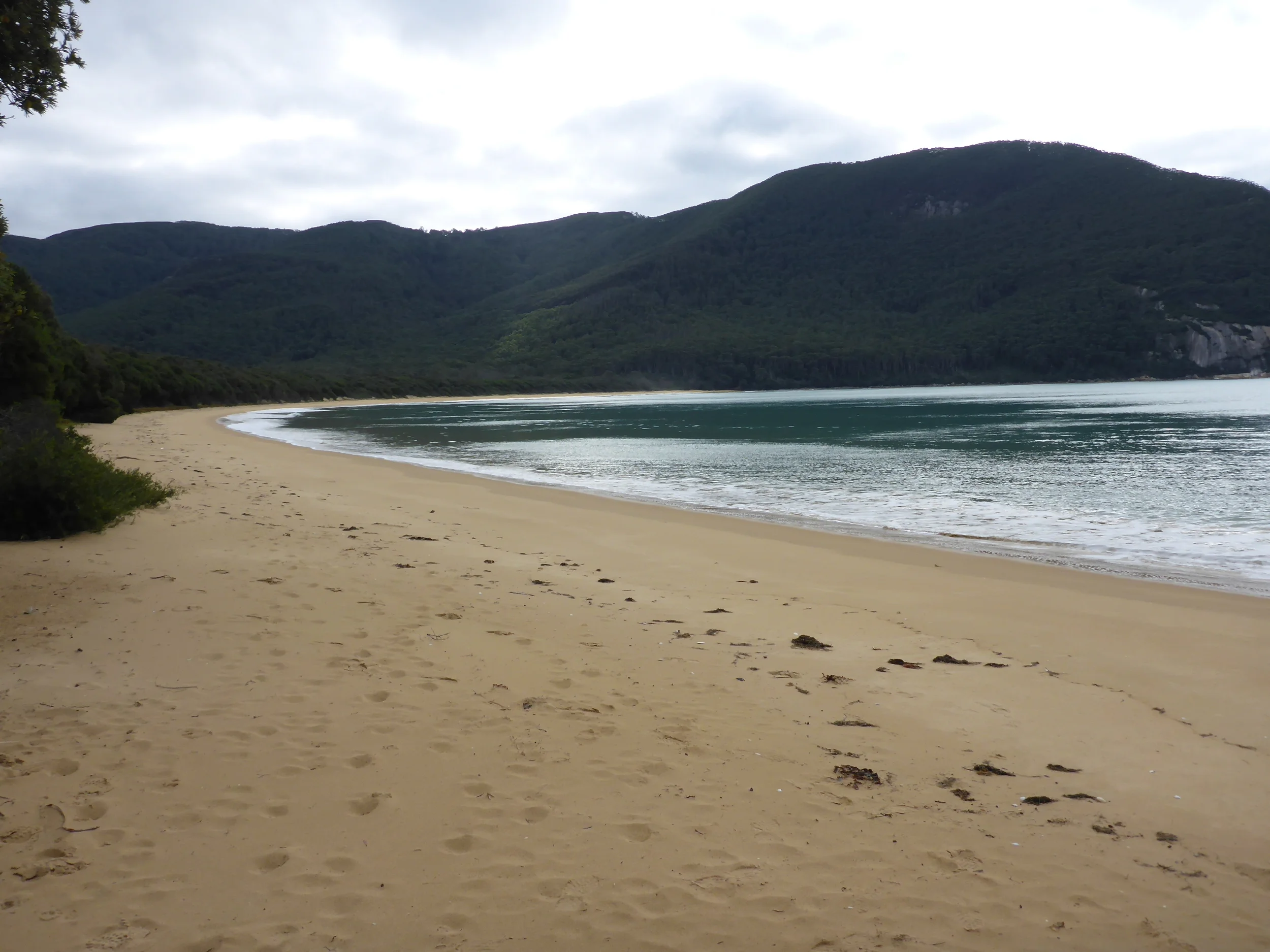 P1010675.JPG