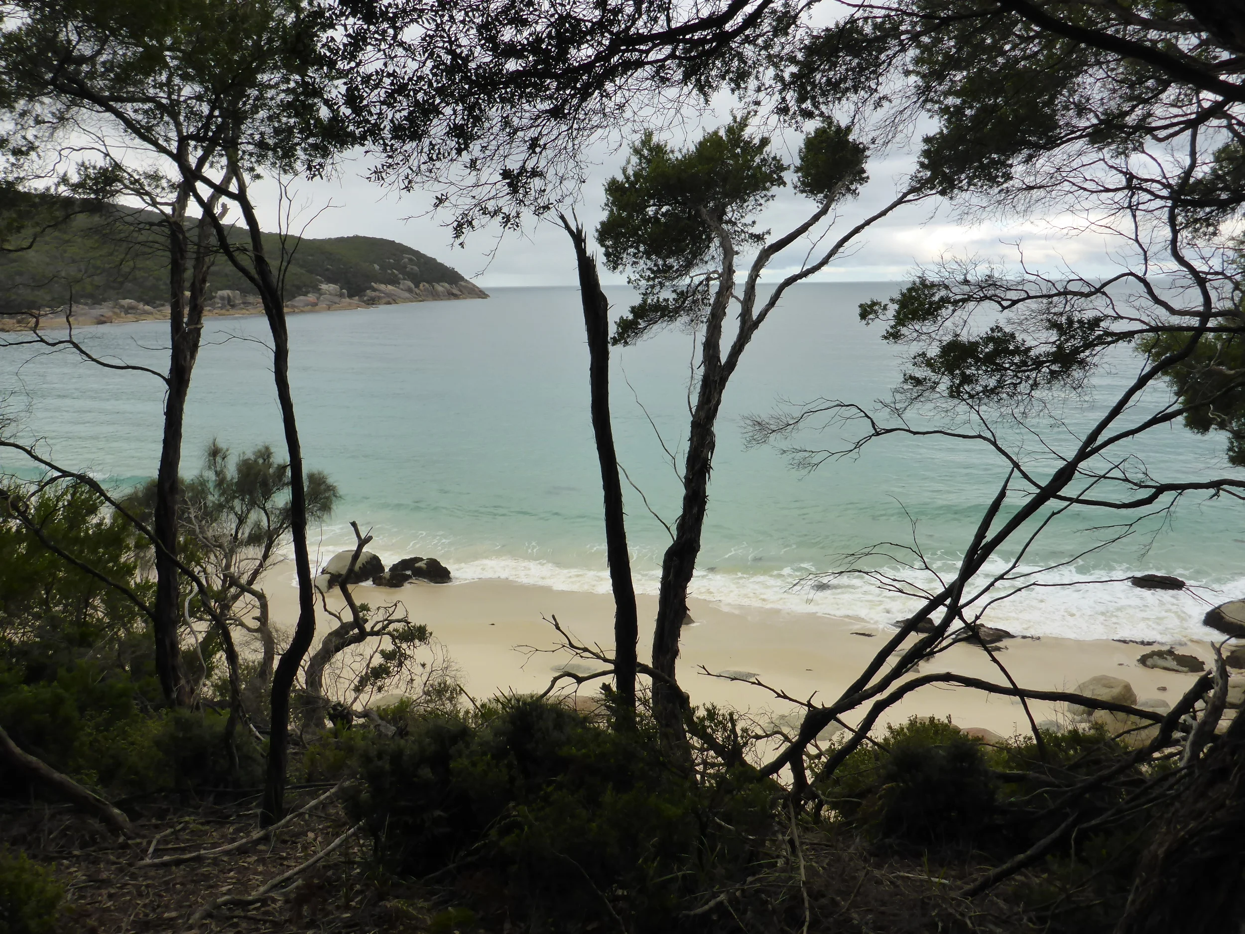 P1010716.JPG