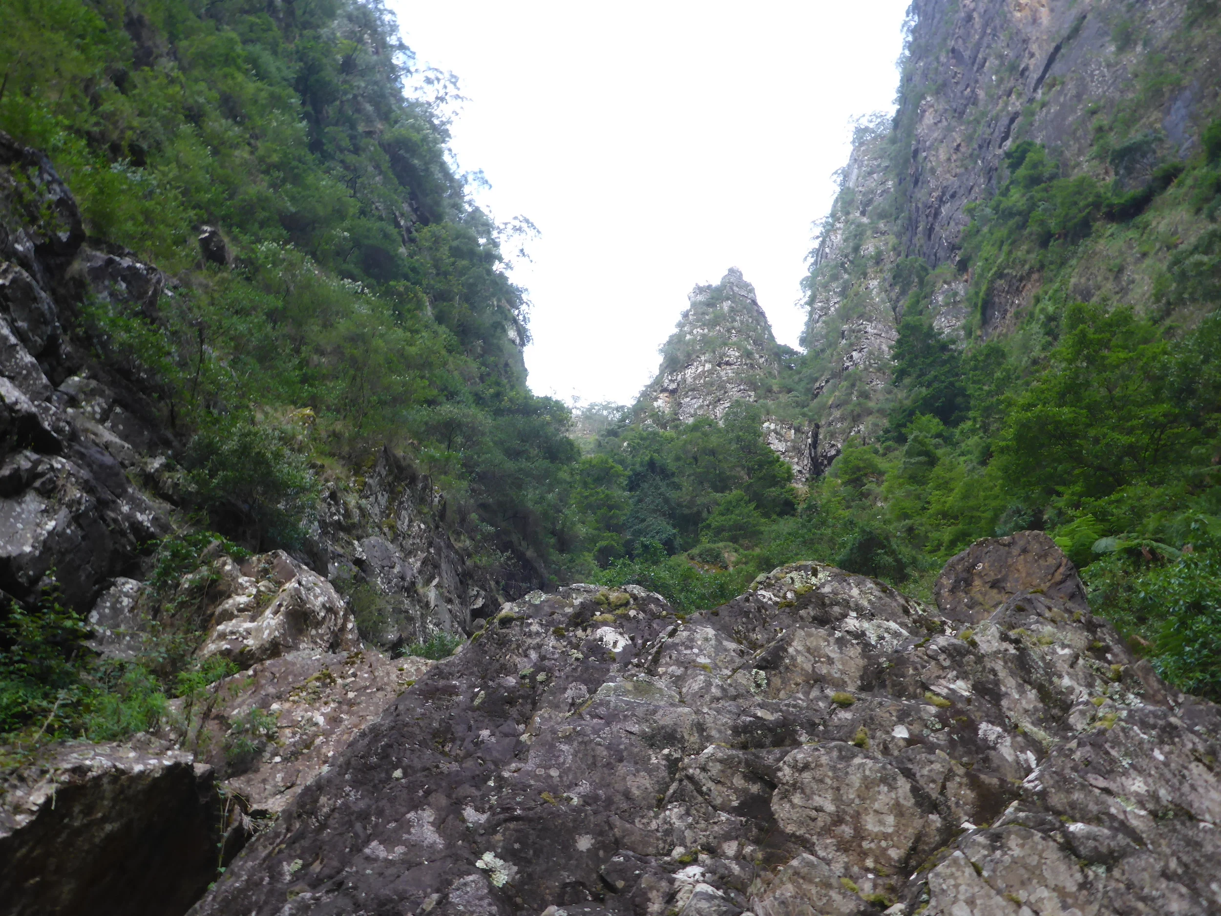 P1020948.JPG