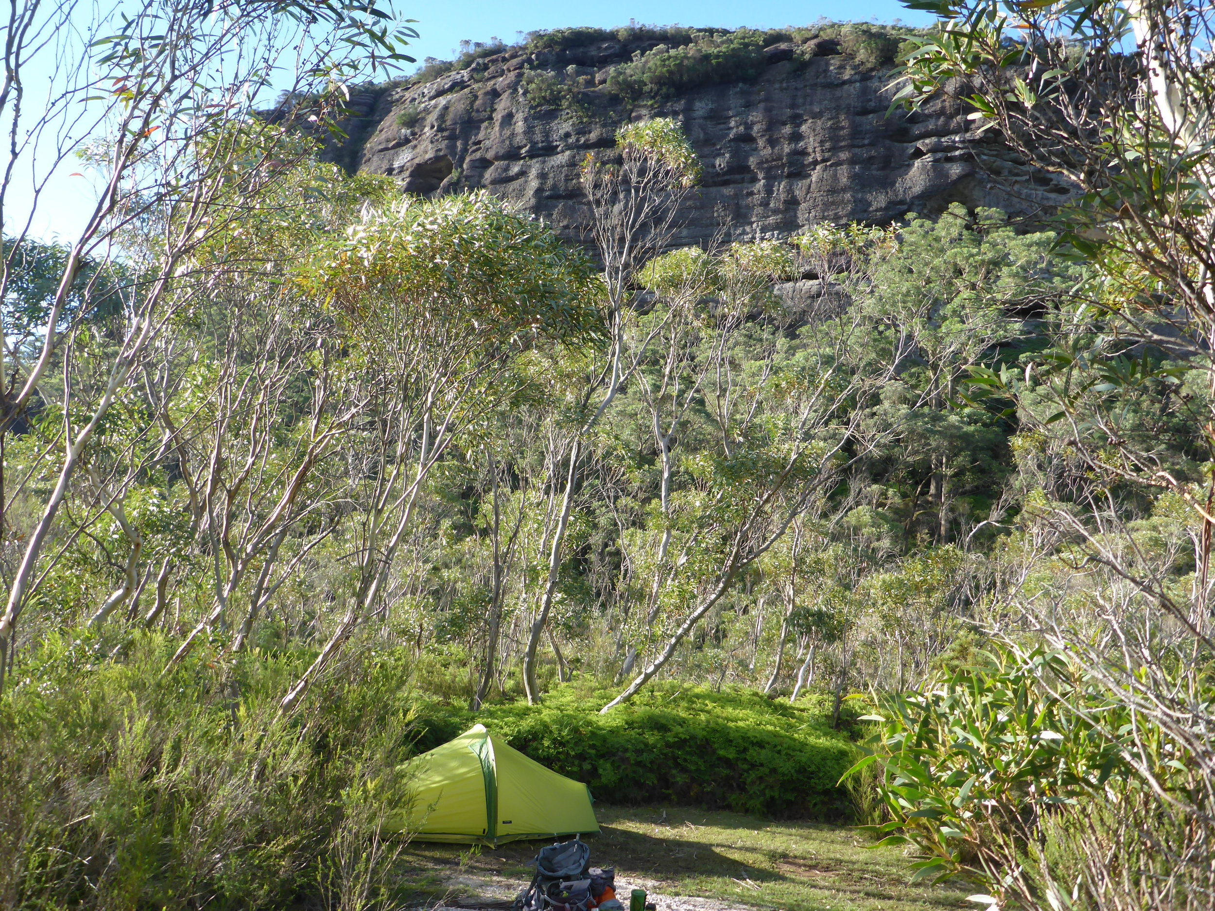 P1040443.JPG