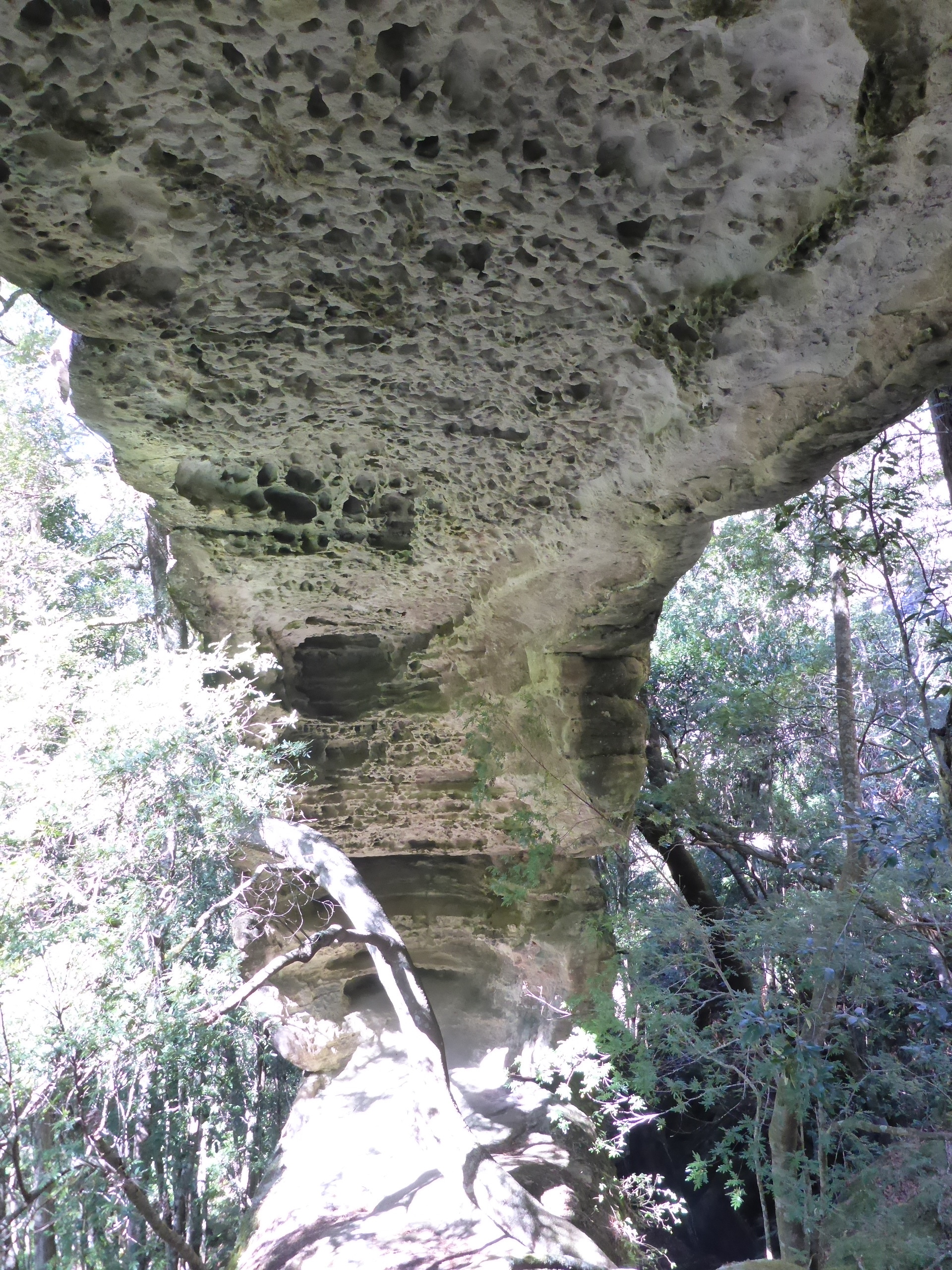 P1040543.JPG