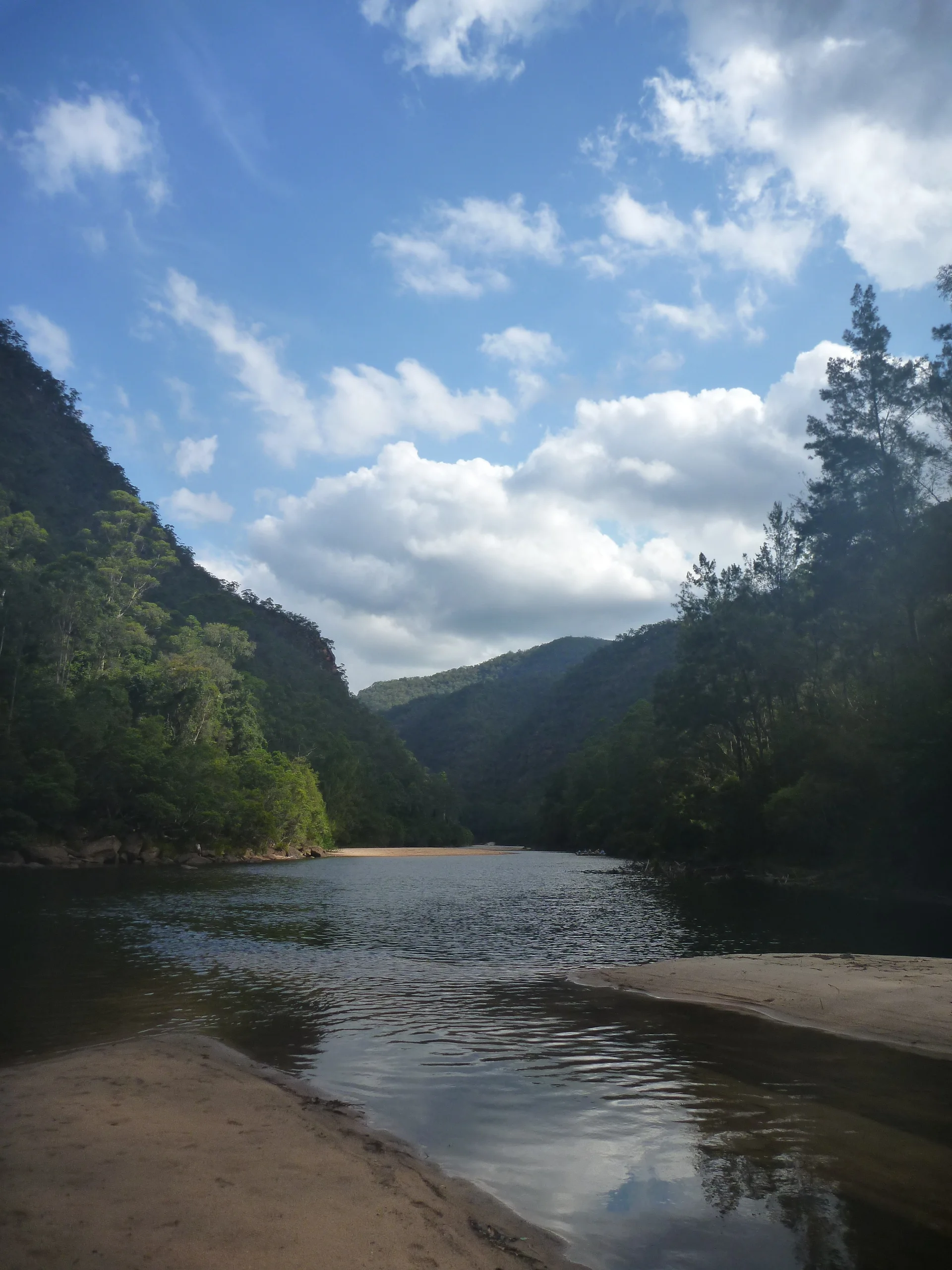 P1050893.JPG