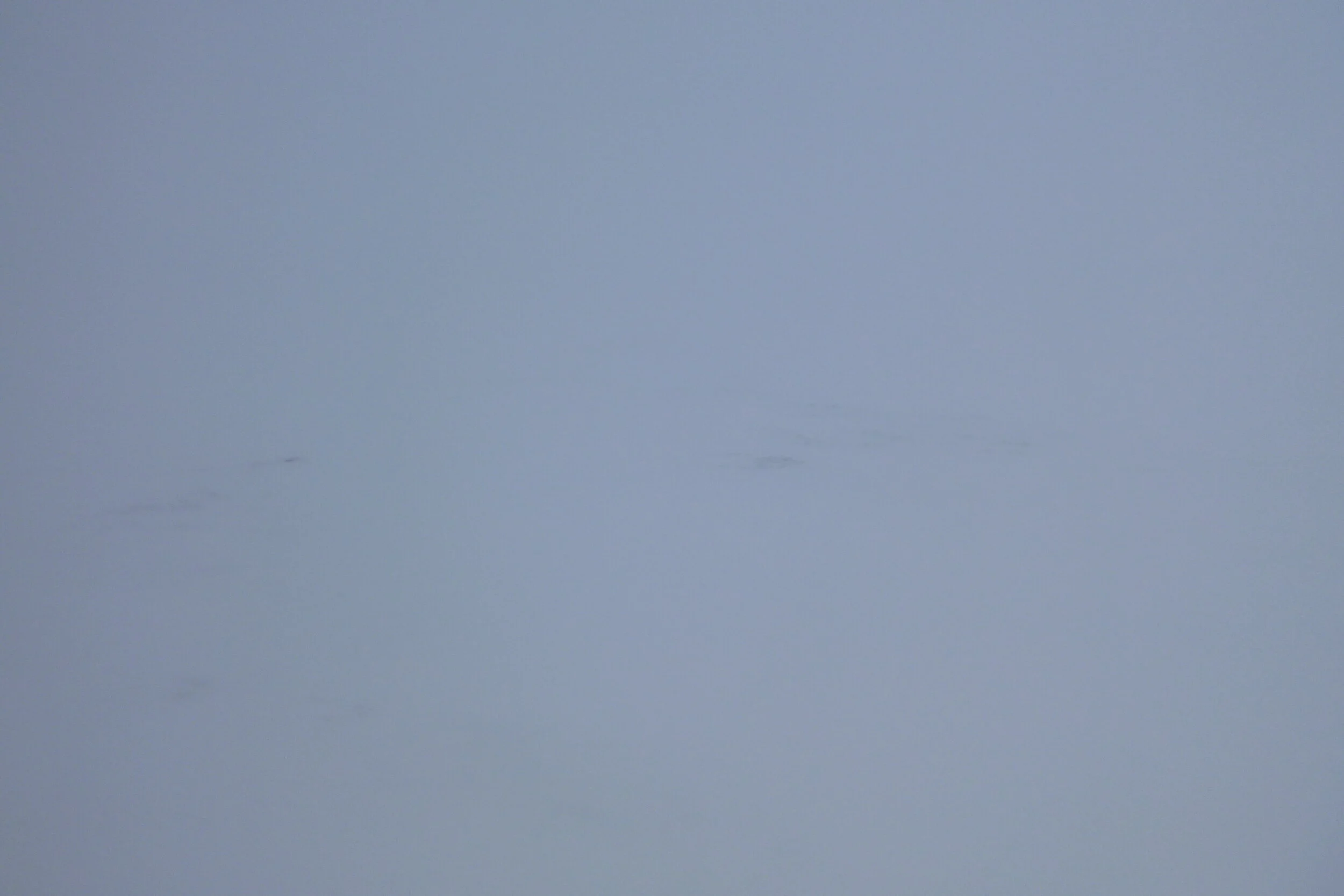 P1000578.JPG