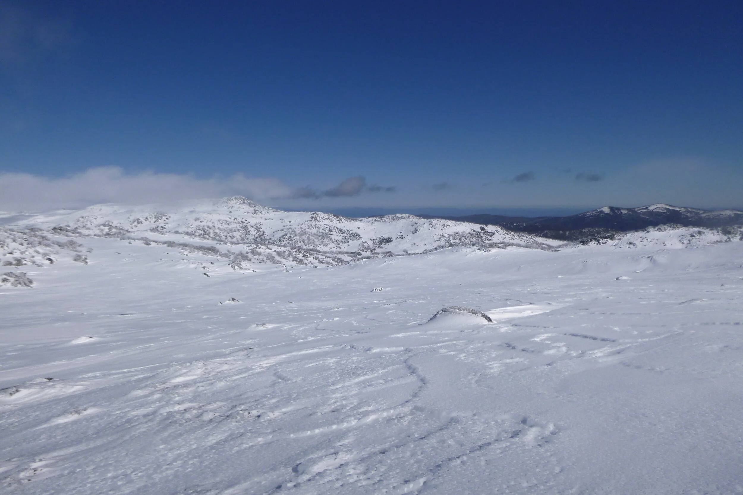 P1000623.JPG