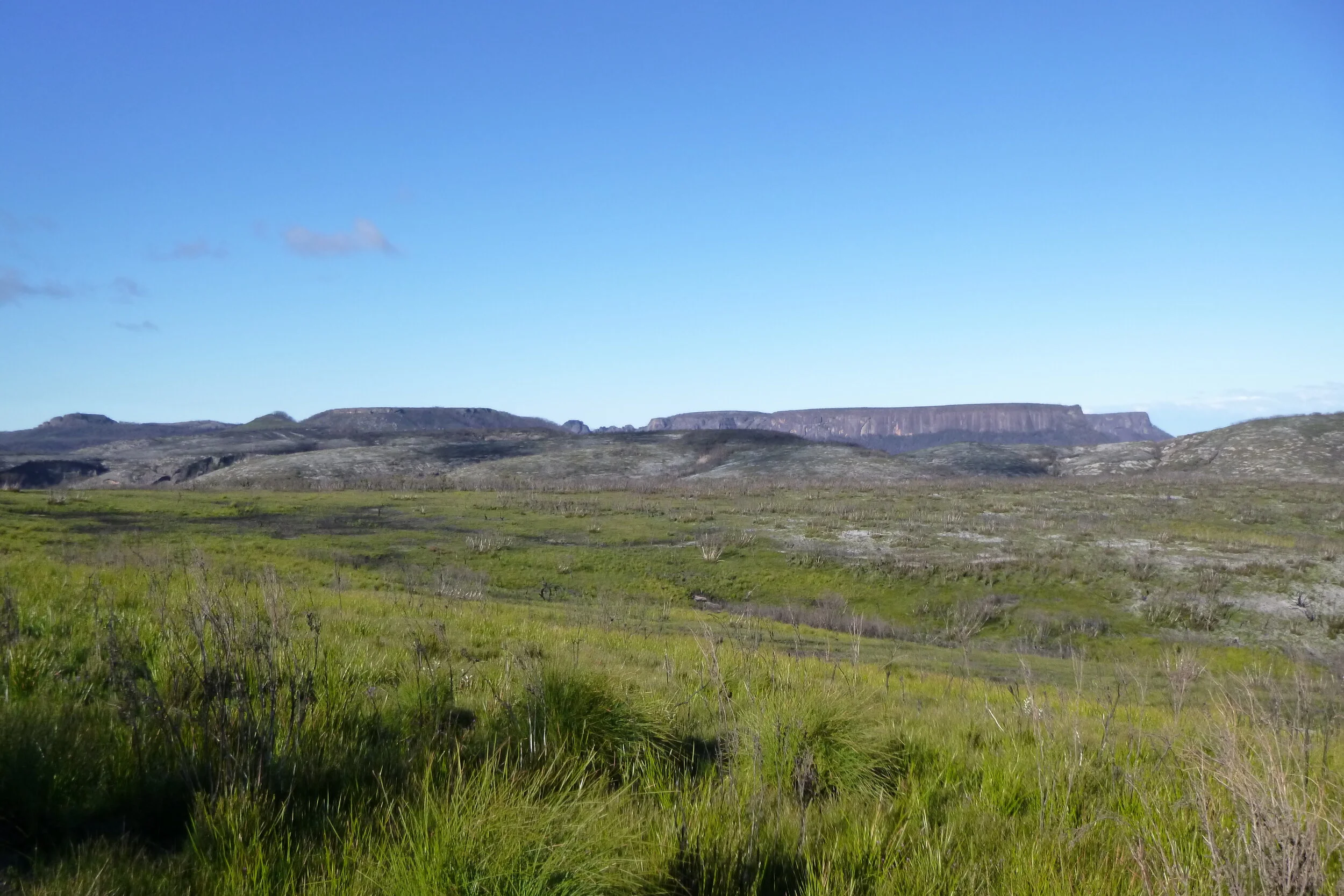 P1000660.JPG