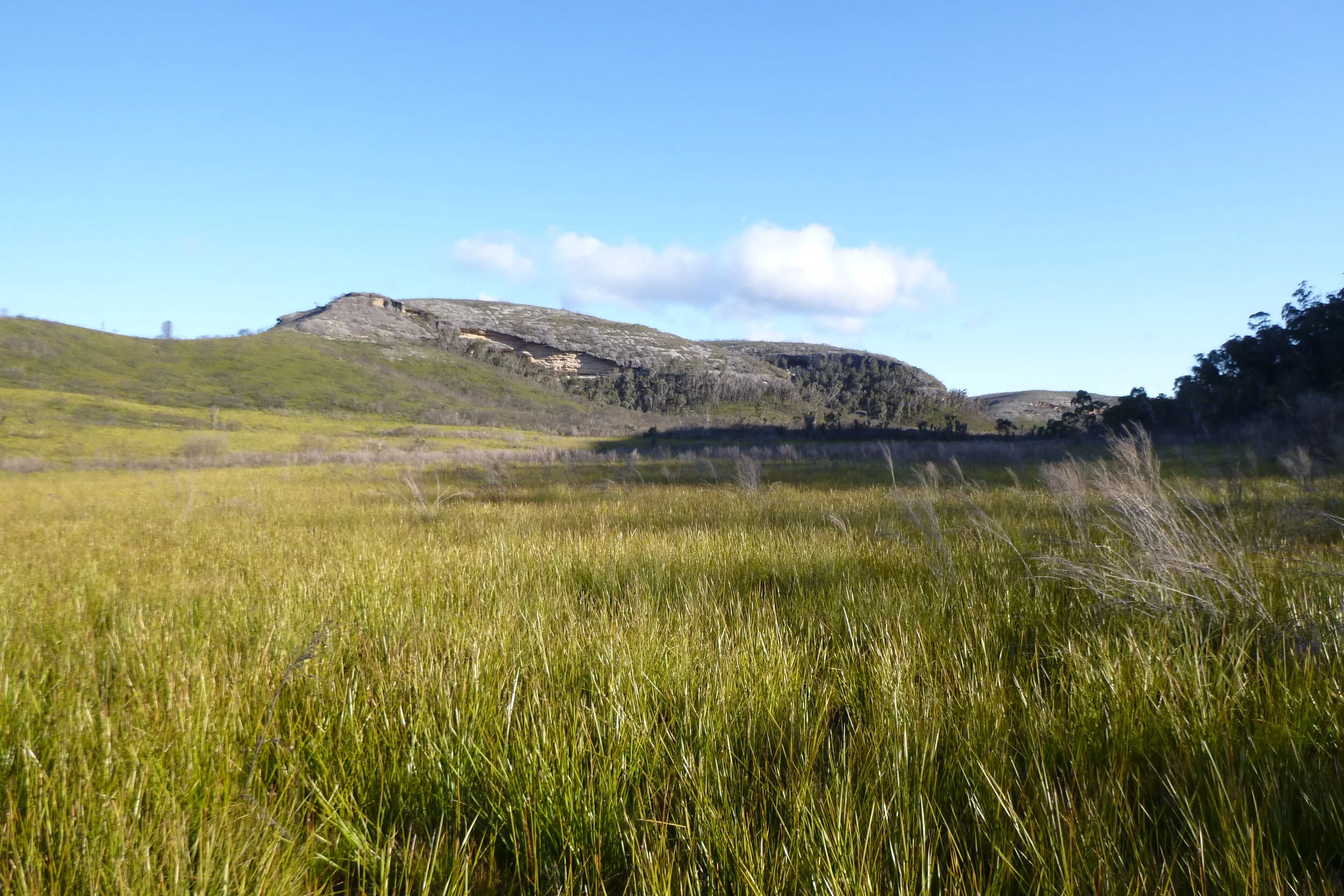 P1000665.JPG
