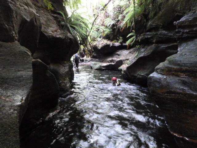P1000866.JPG