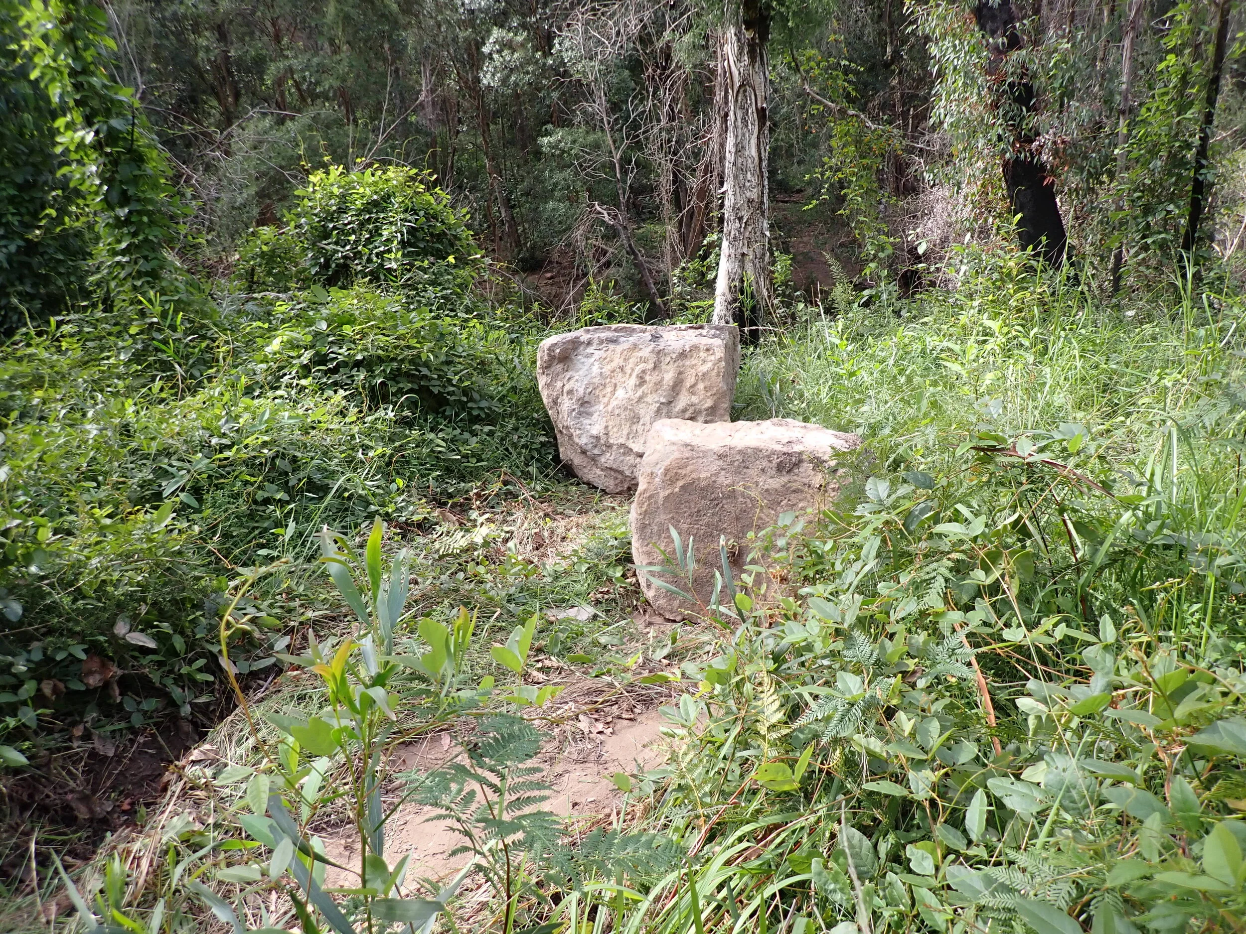 P4160031.JPG