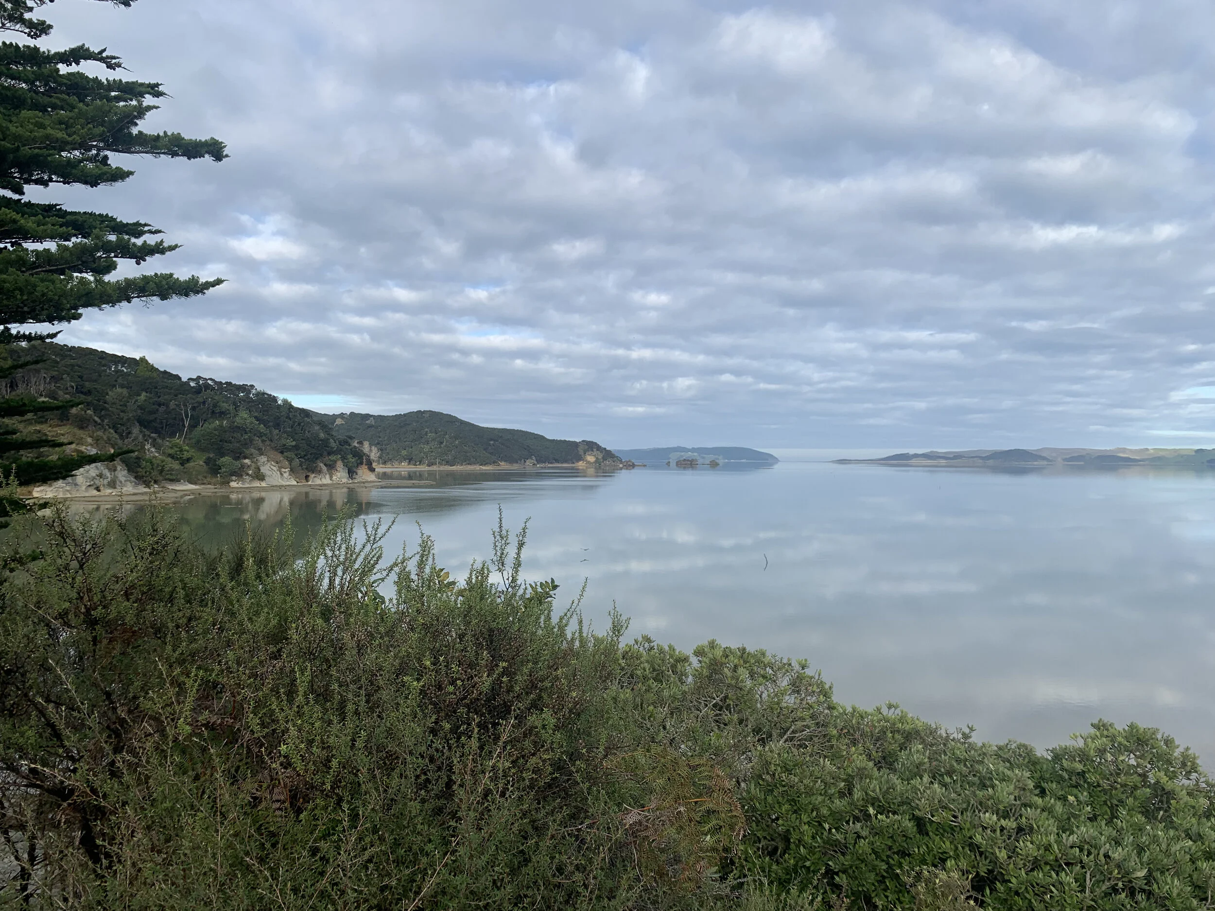 IMG_1714.jpeg