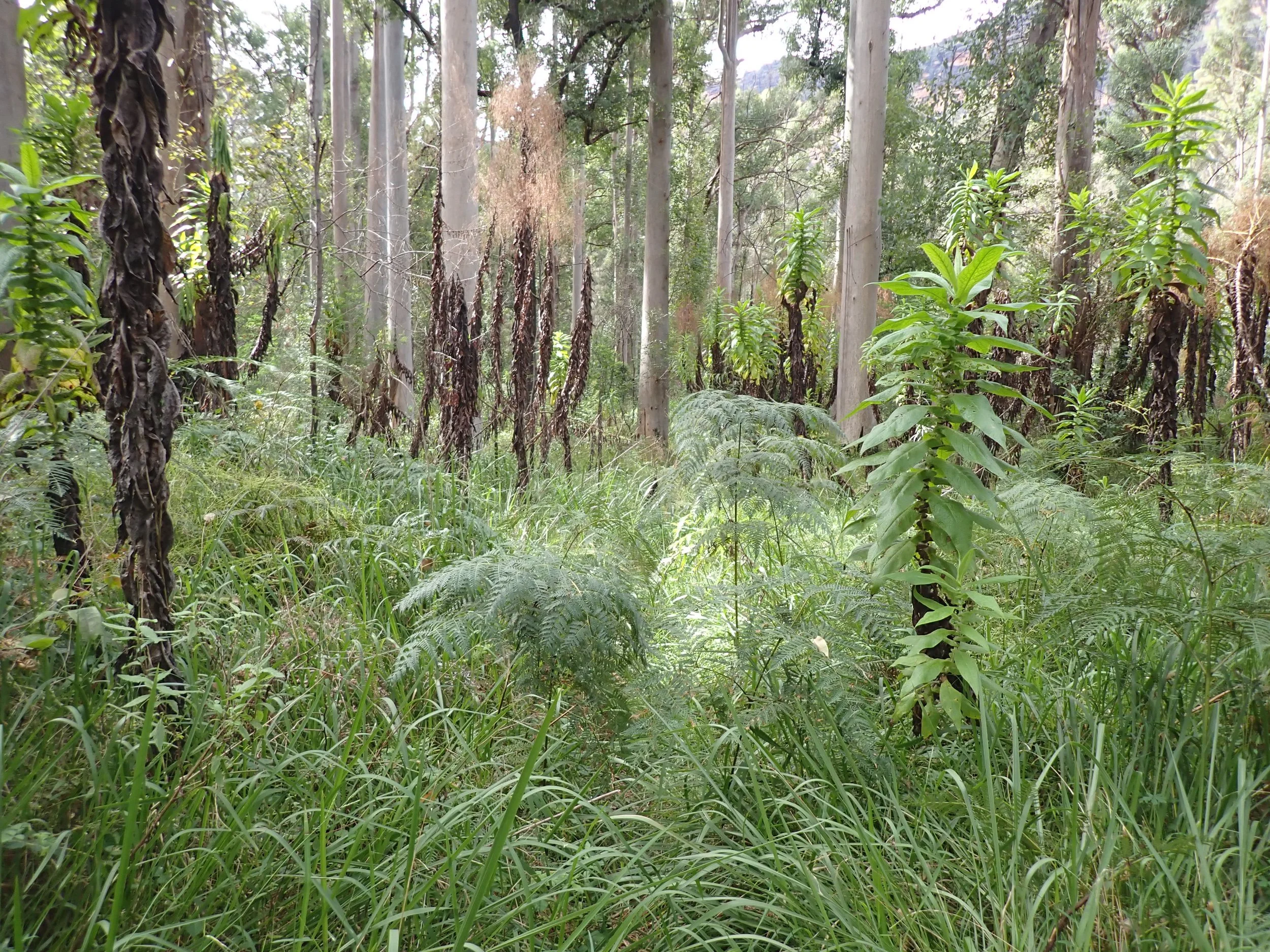 P4020115.JPG