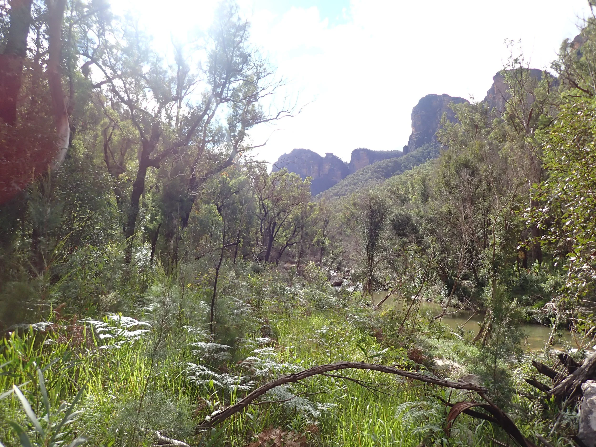 P4020122.JPG