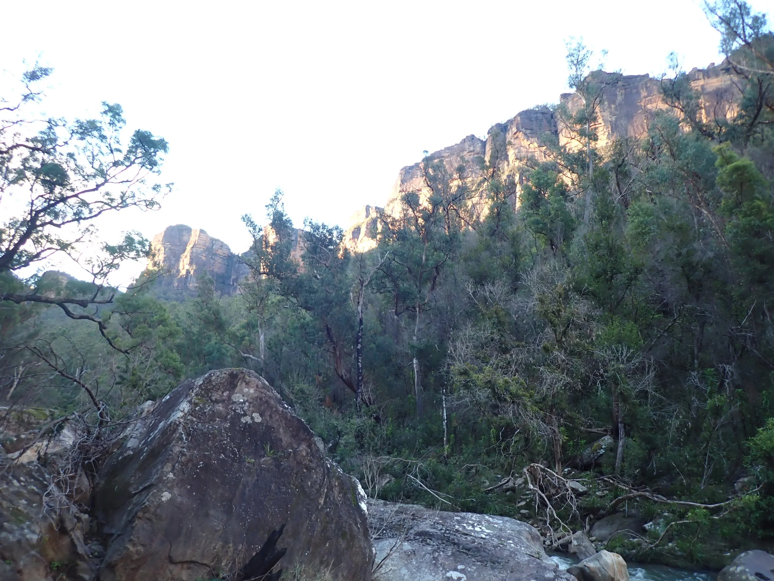 P4020142.JPG